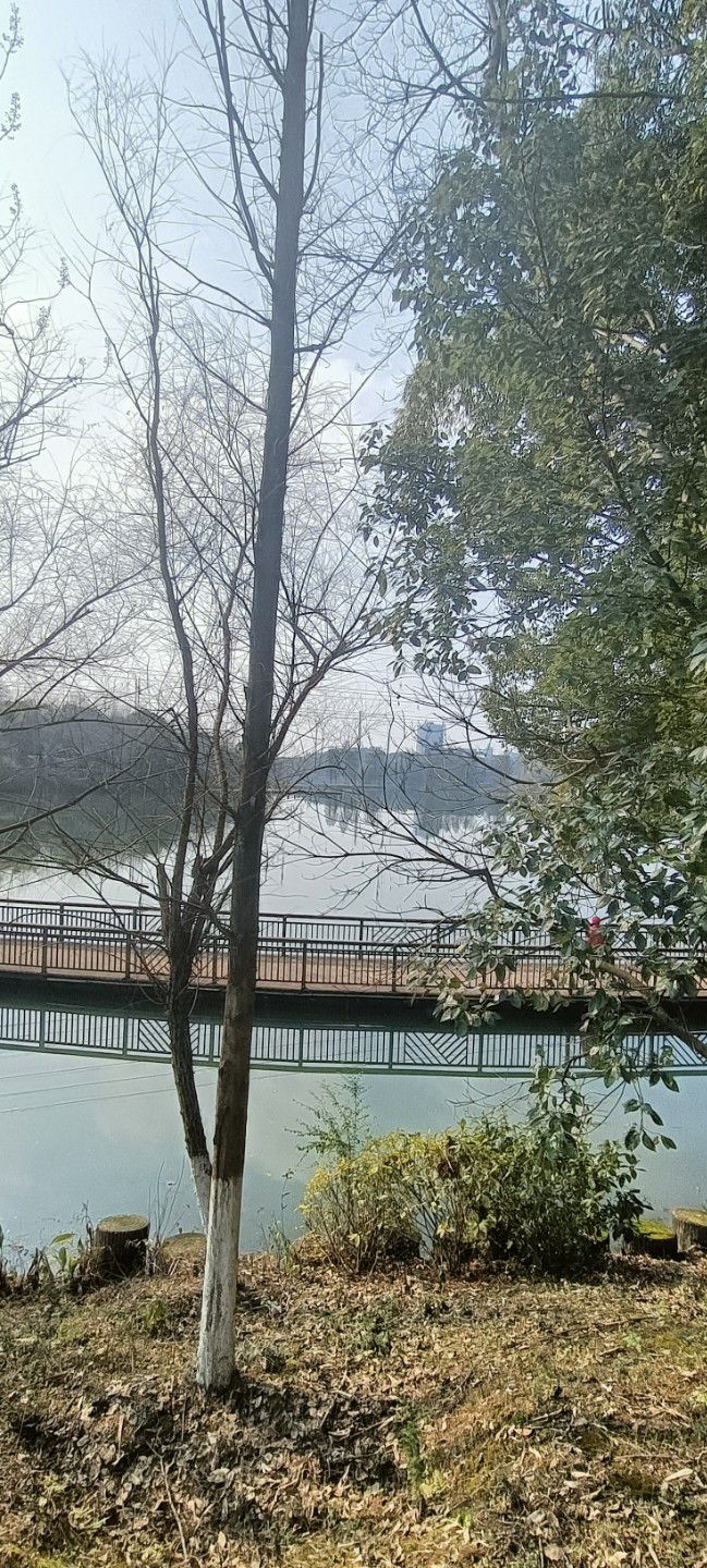 南湖景区旅行图片 3