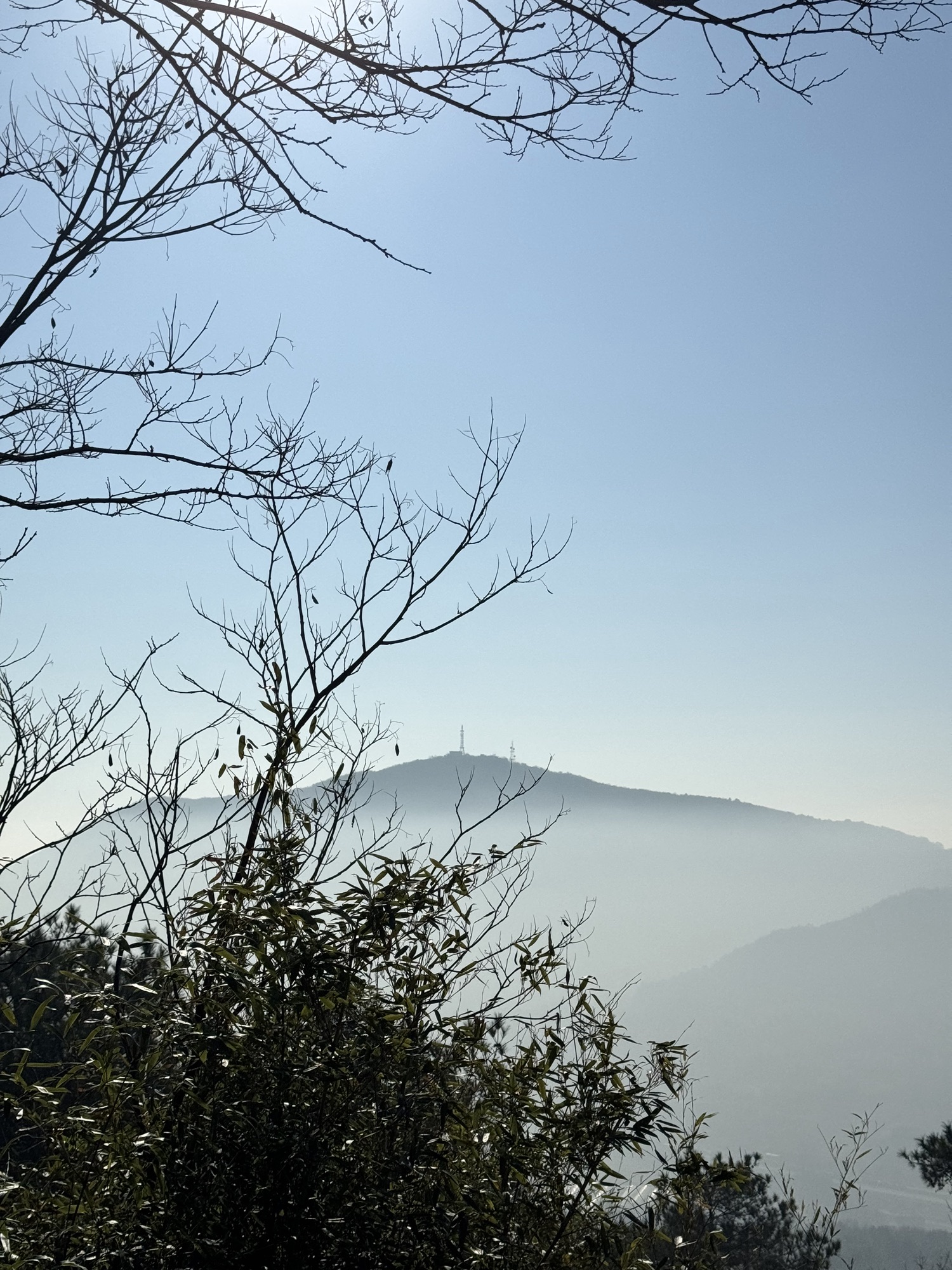 道场山旅行图片 1
