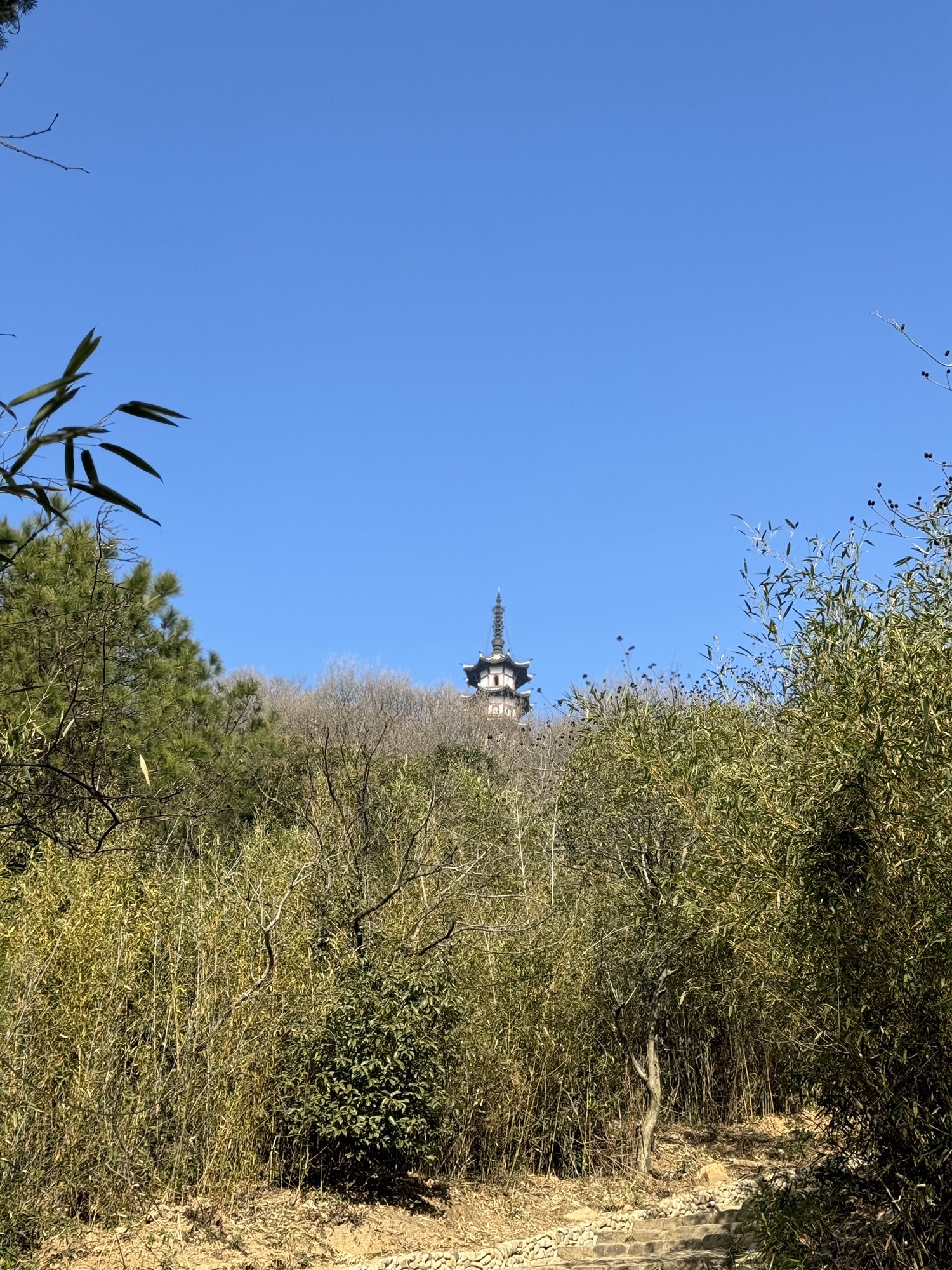 道场山旅行图片 3