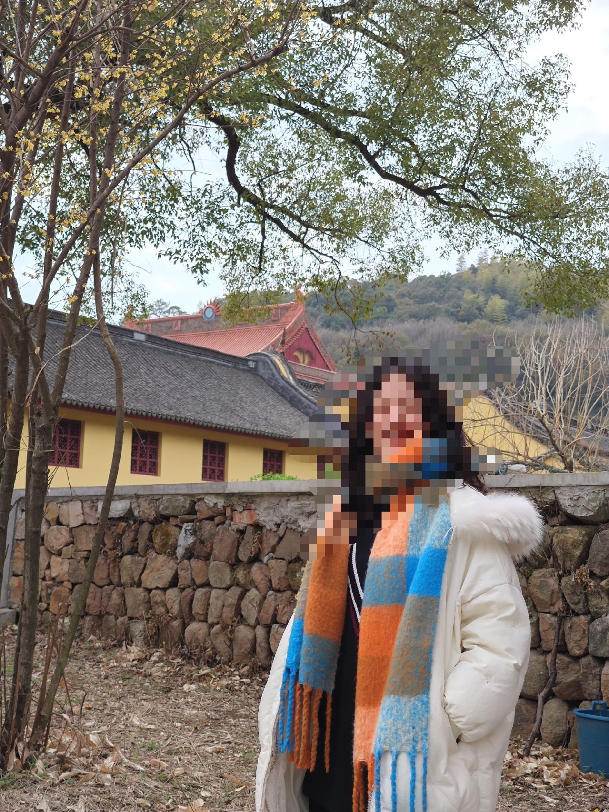 道场山旅行图片 3