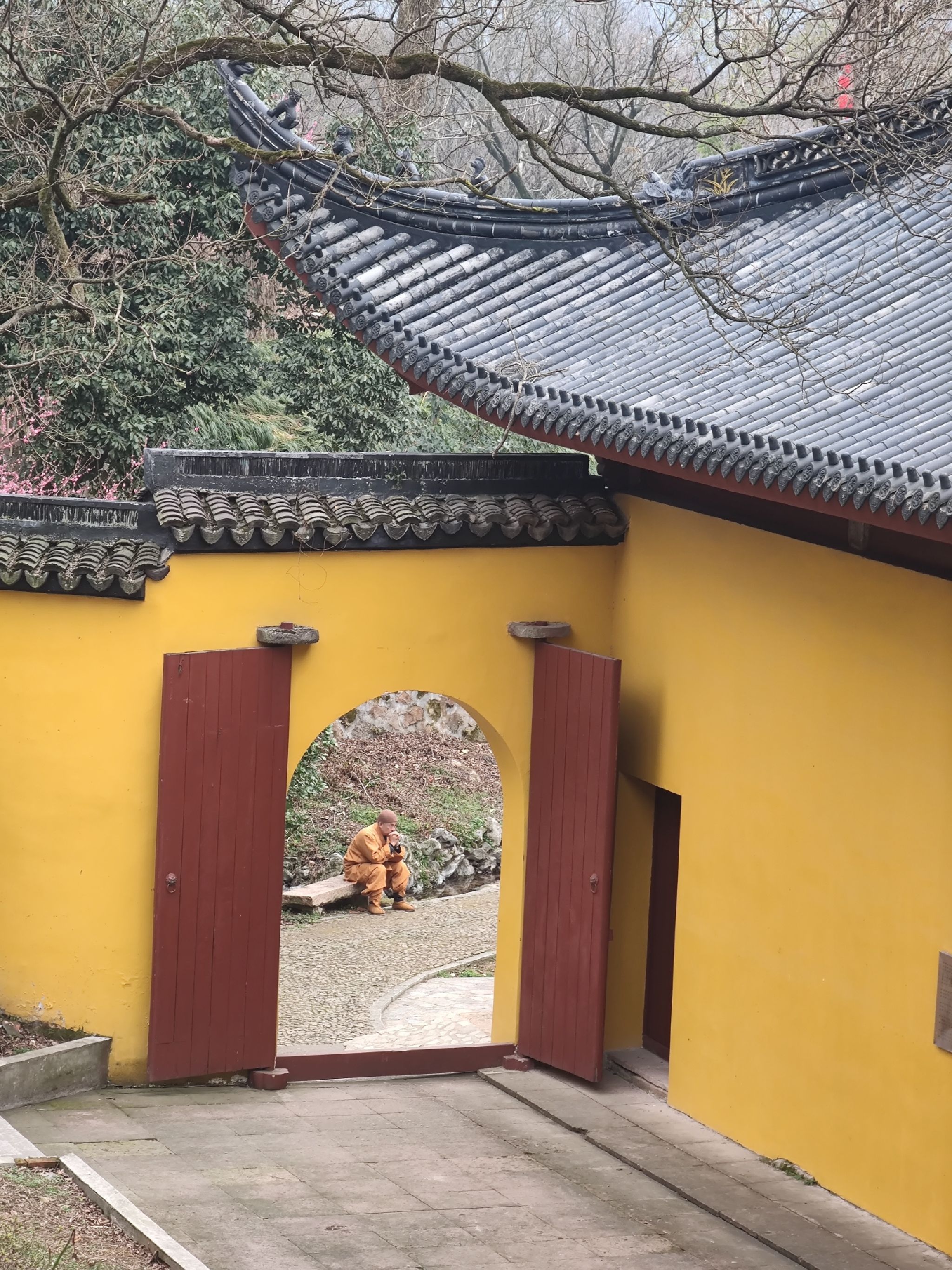 道场山旅行图片 1