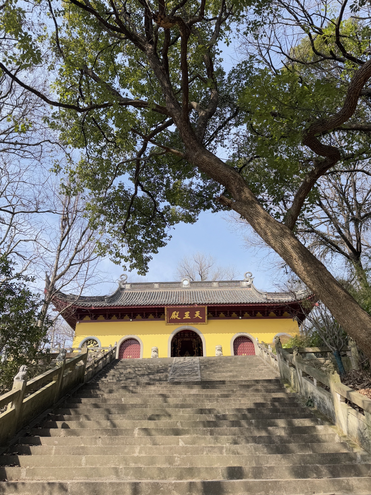 道场山旅行图片 2