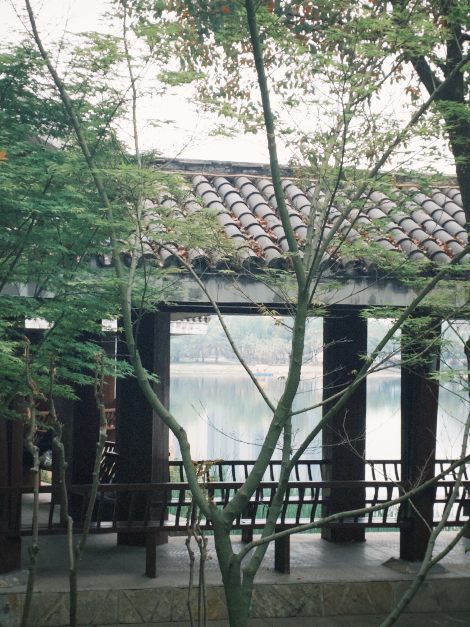 丁玲公园旅行图片 3
