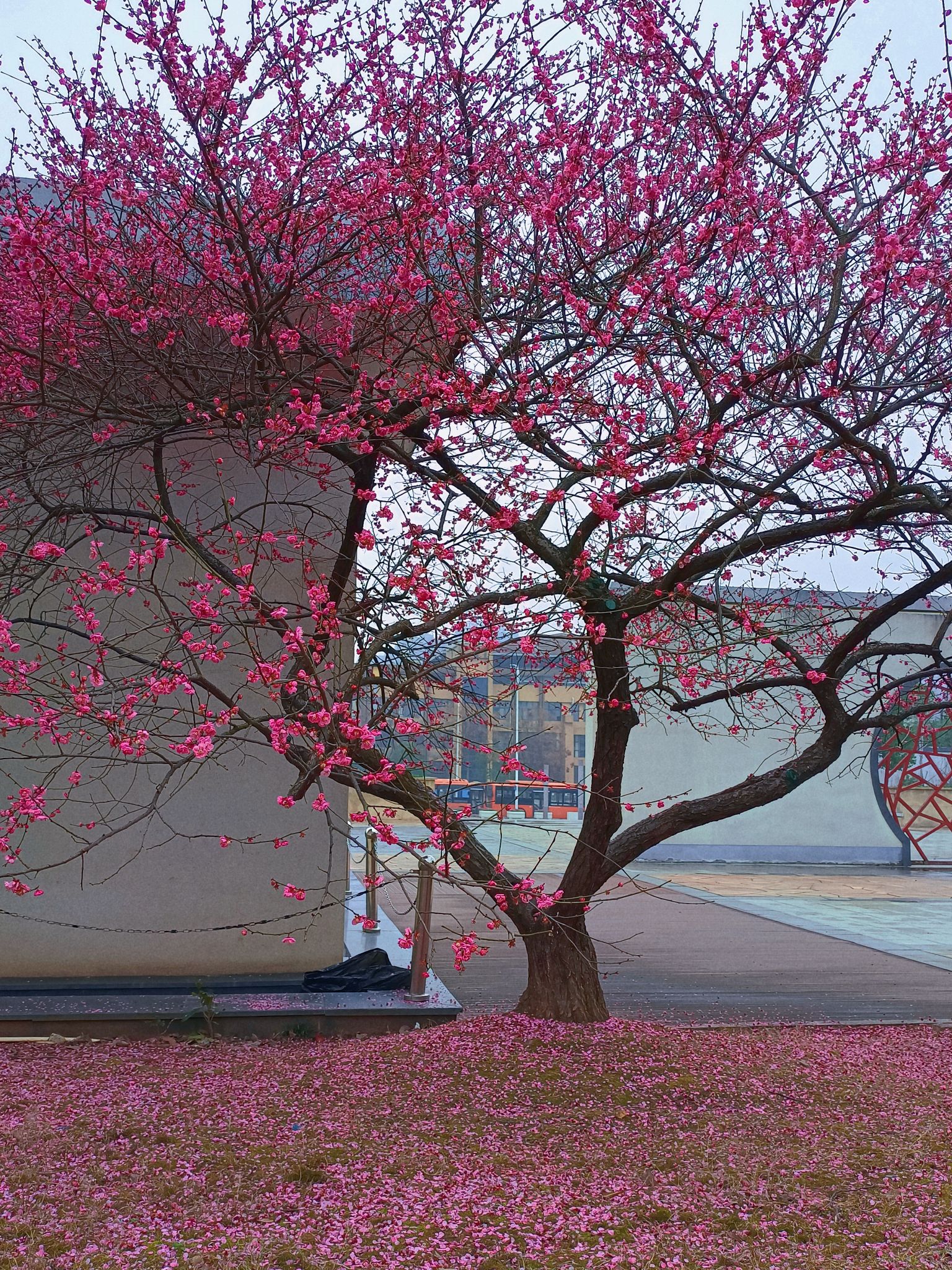 丁玲公园旅行图片 1