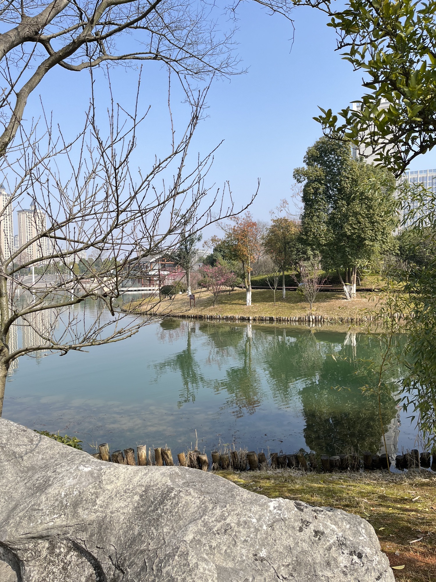丁玲公园旅行图片 1