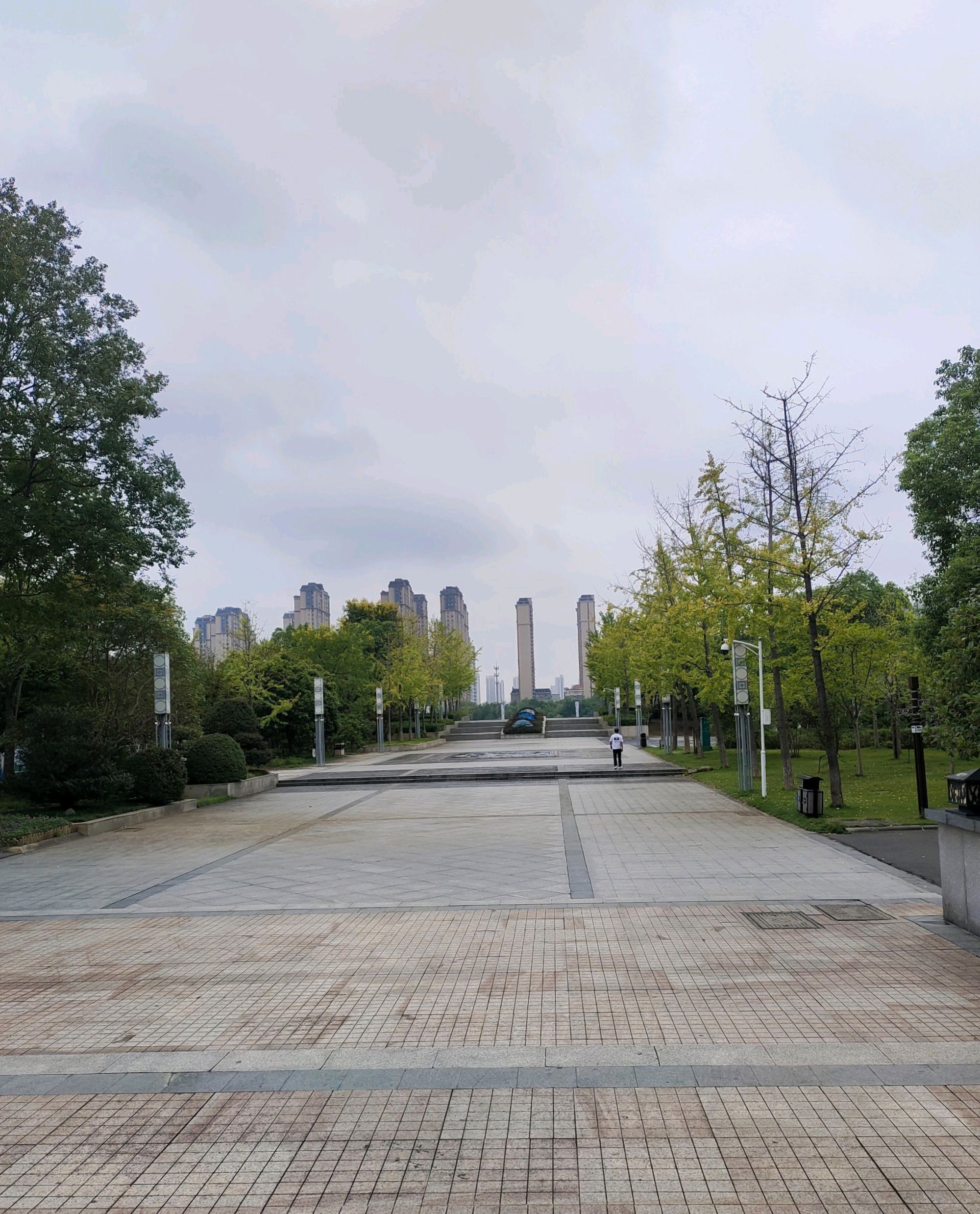 丁玲公园旅行图片 3