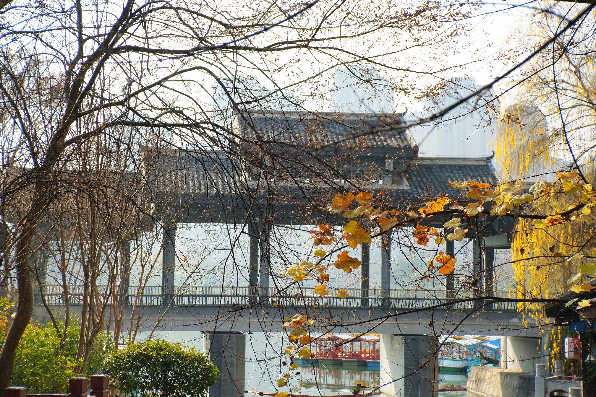 丁玲公园旅行图片 3