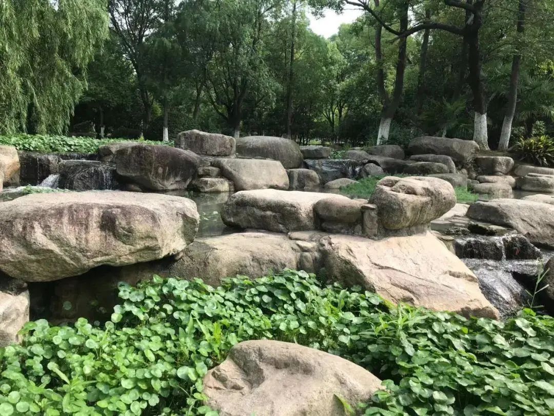 太仓湿地公园旅行图片 3