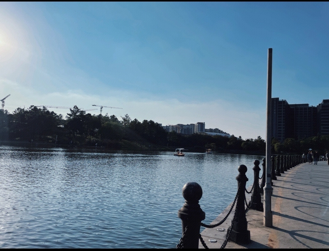太仓湿地公园旅行图片 1