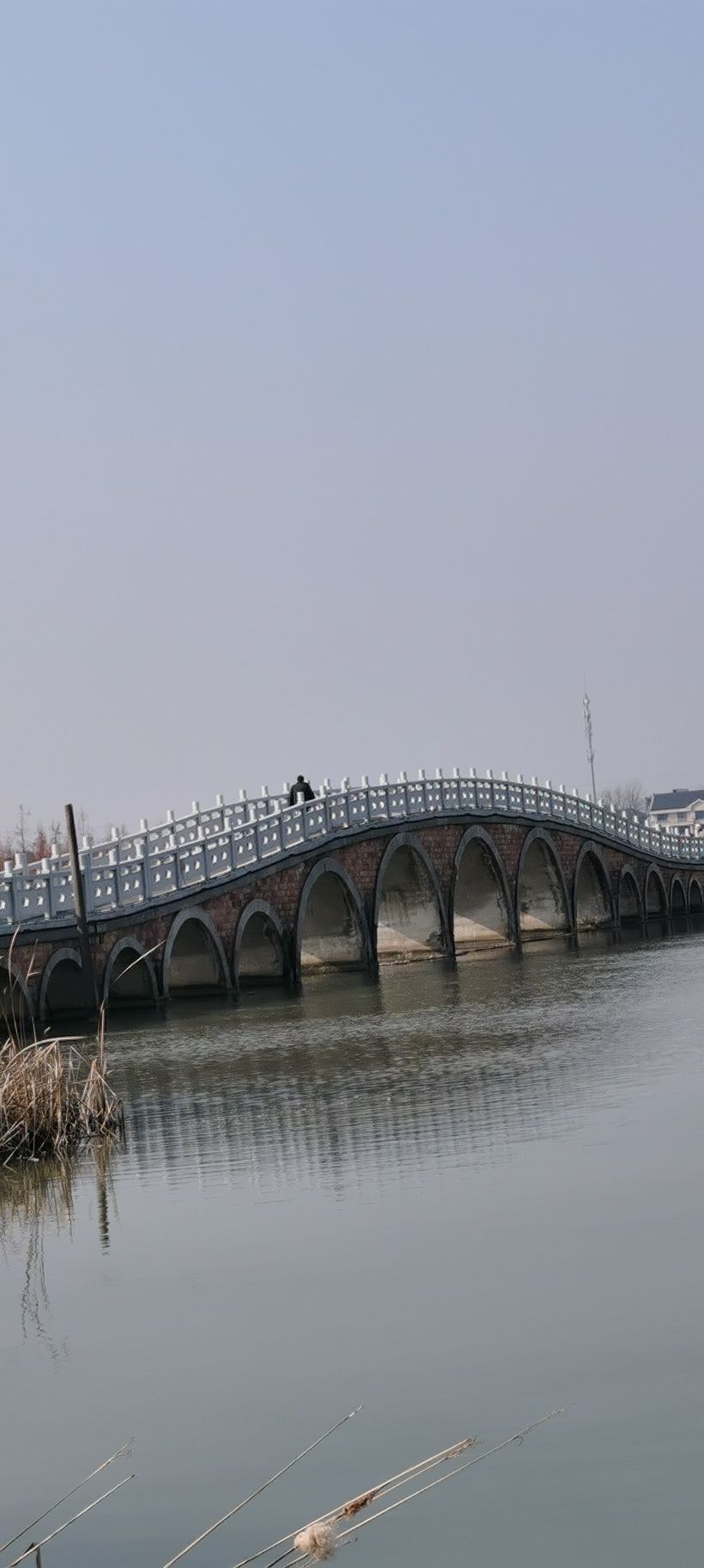 太仓湿地公园旅行图片 1