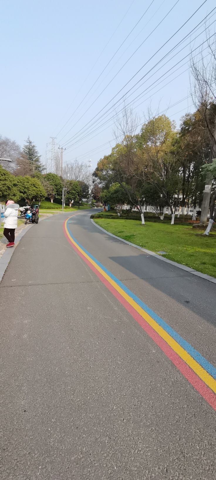 太仓湿地公园旅行图片 2