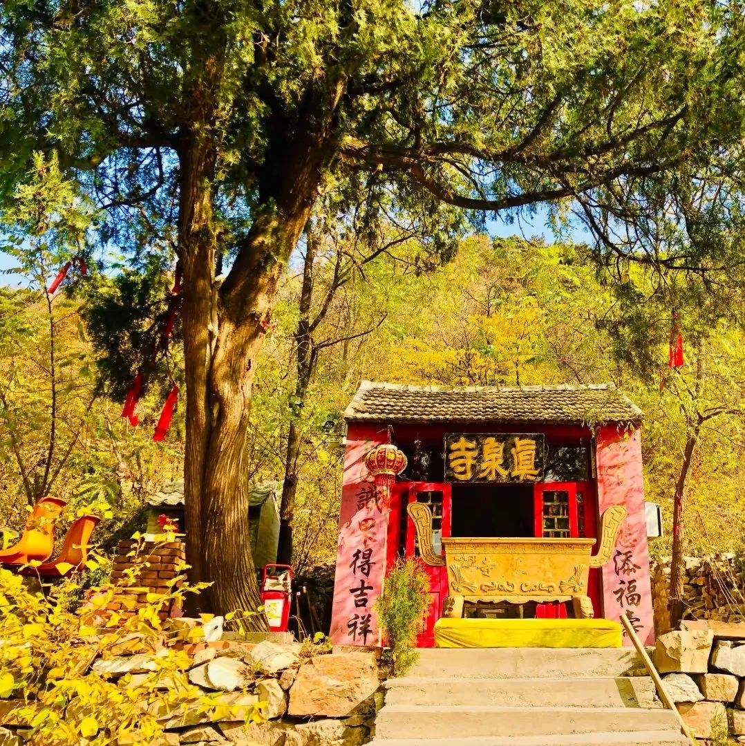 真泉寺实景照片