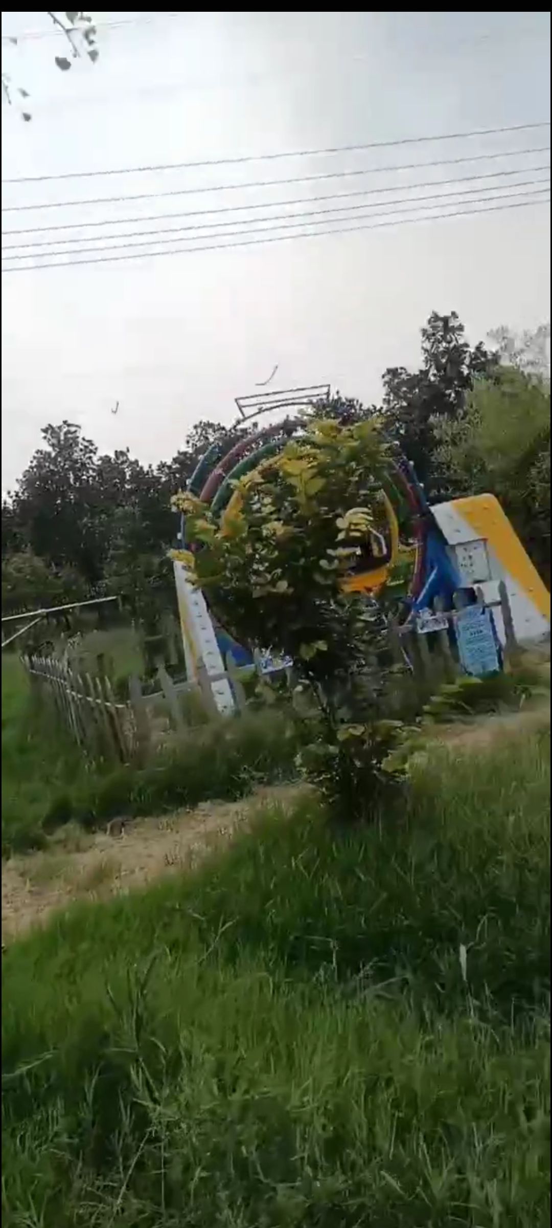 海豚湾水世界旅行图片 1