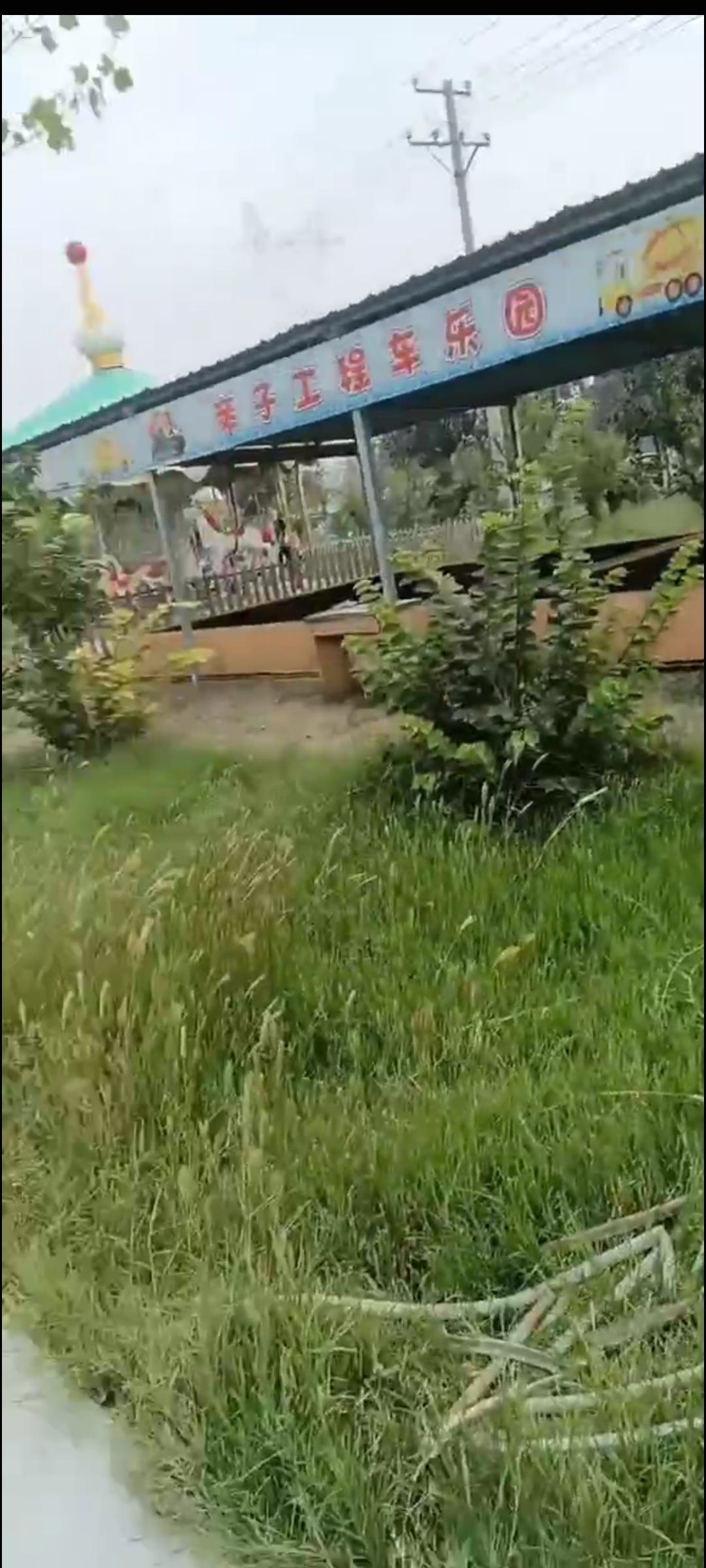 海豚湾水世界旅行图片 3