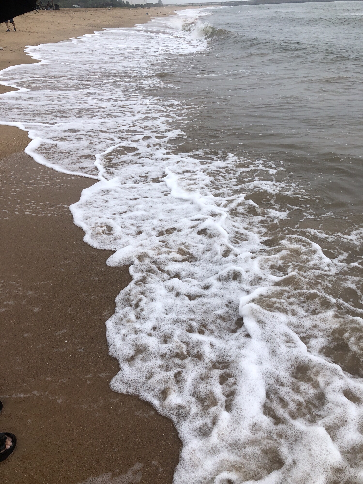 绥中电厂海滩旅行图片 3