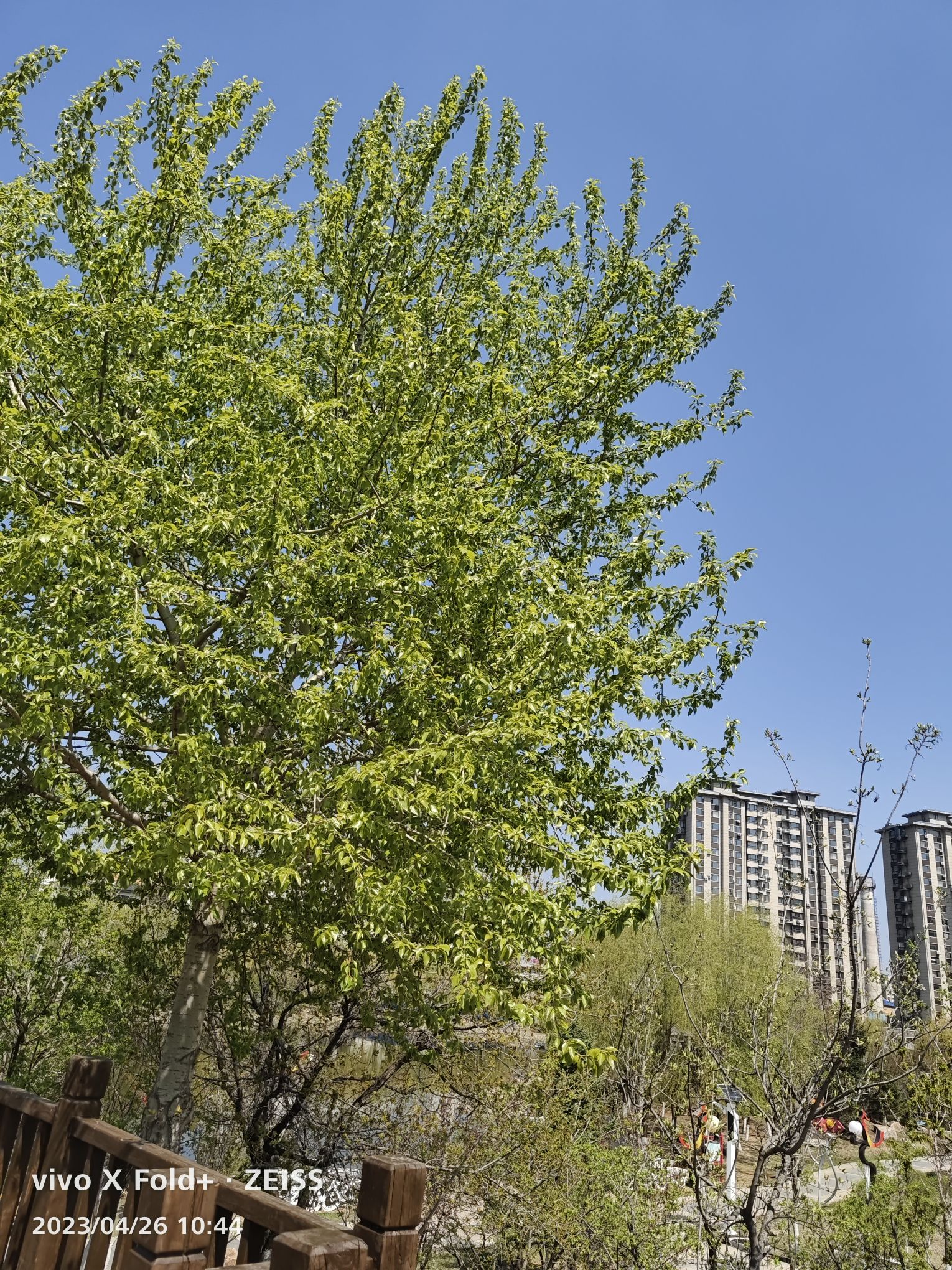 四平市西湖水上公园旅行图片 2