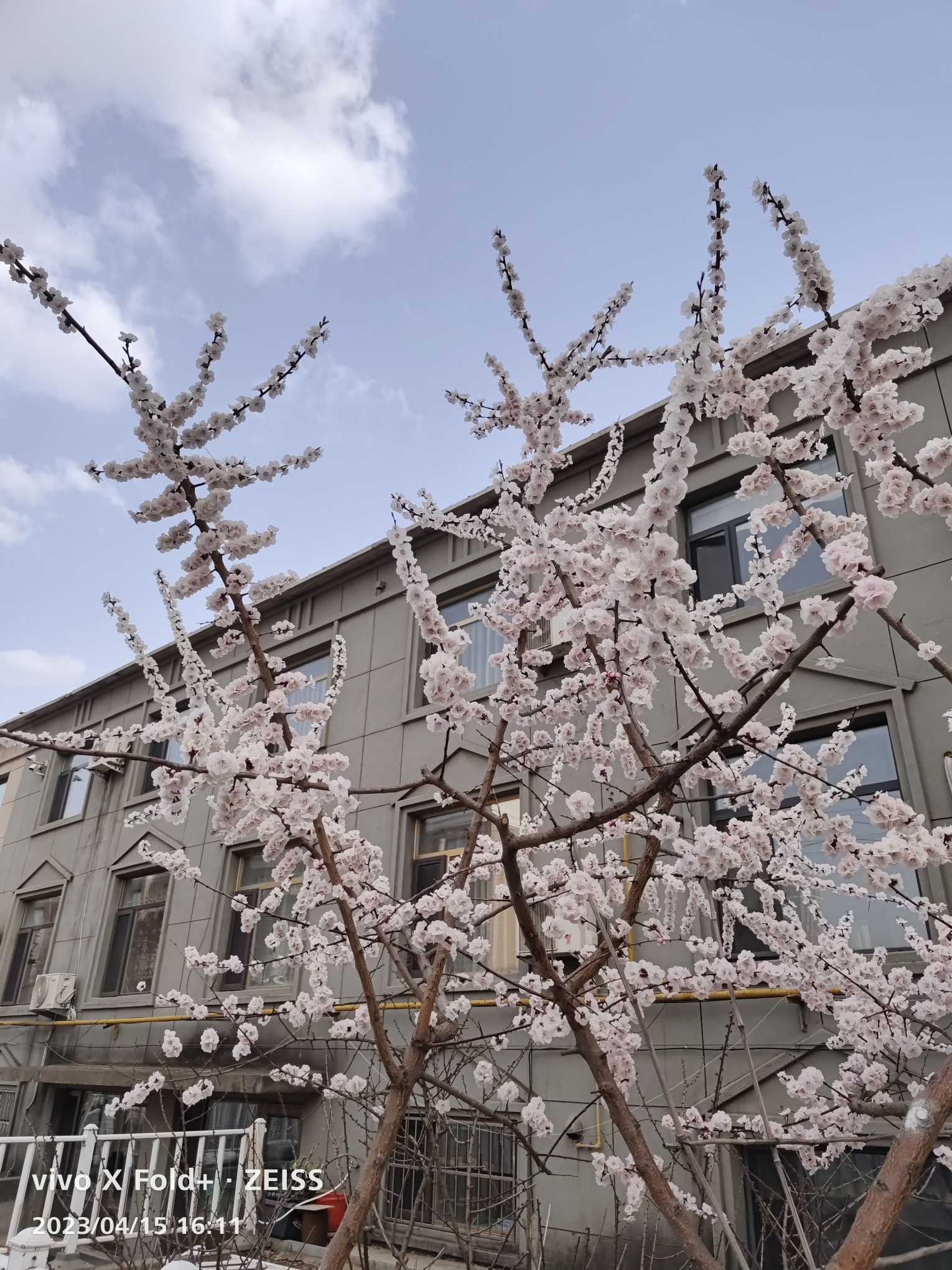四平市西湖水上公园旅行图片 3