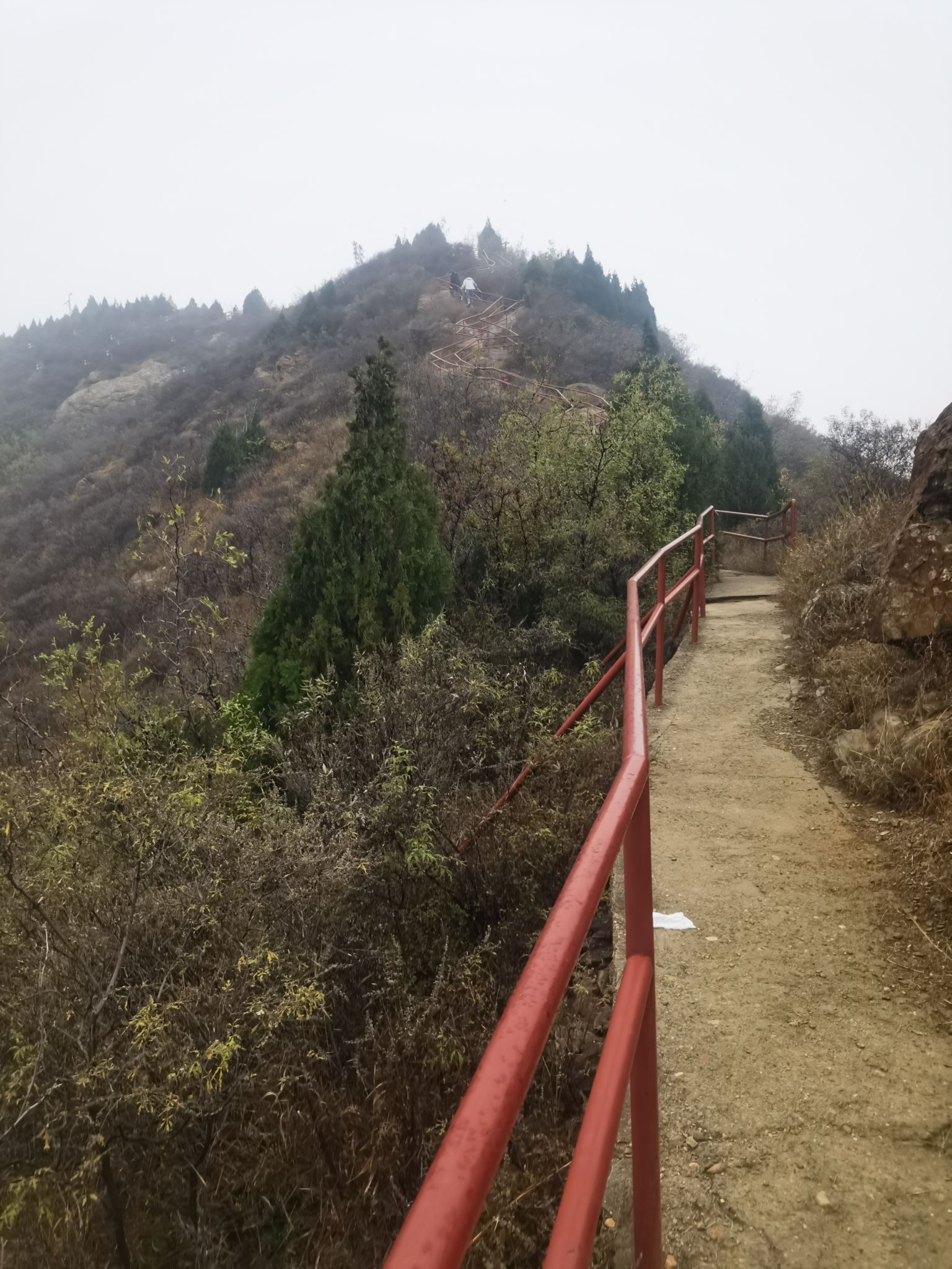 西山森林公园旅行图片 3