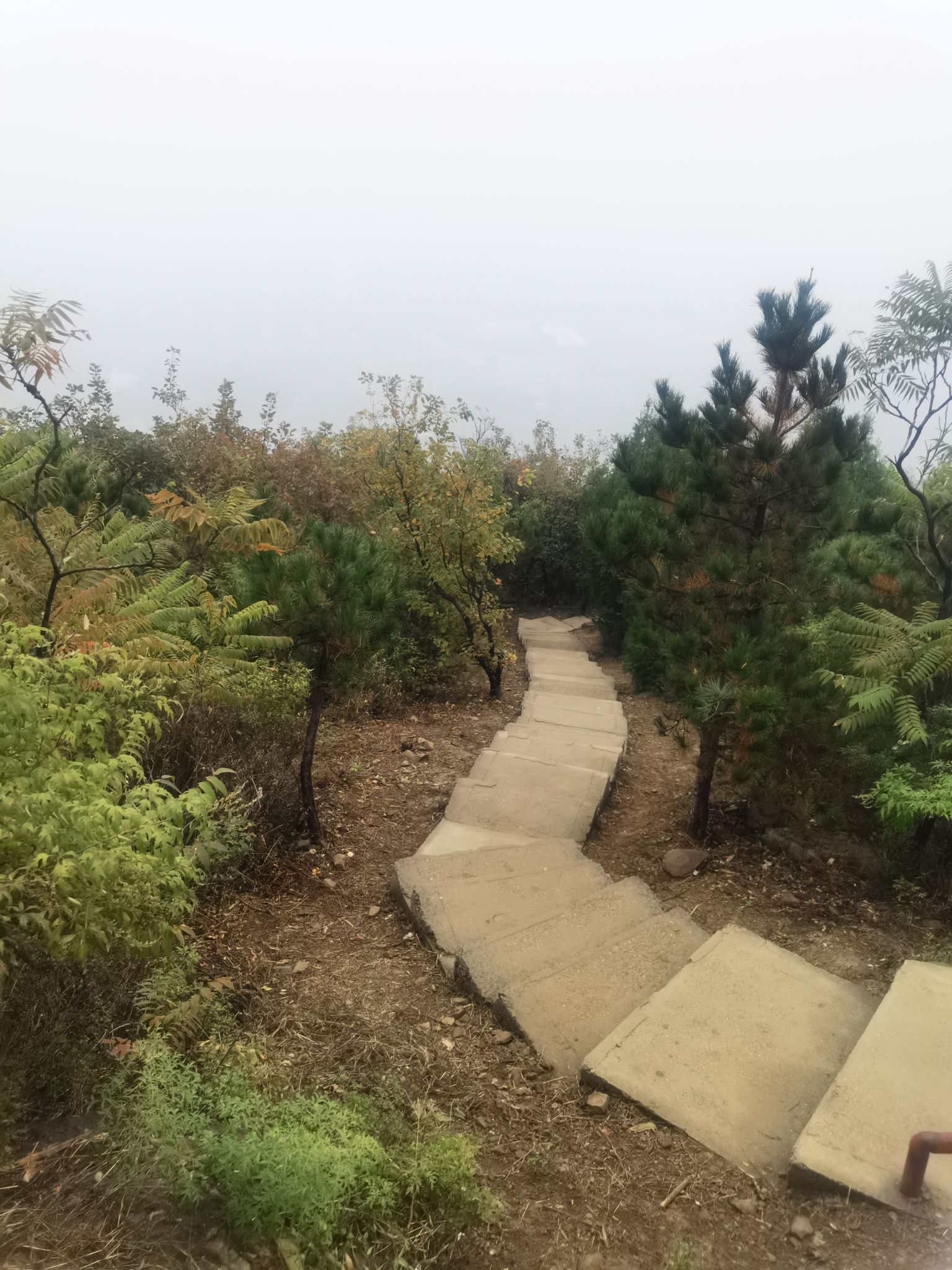 西山森林公园旅行图片 2