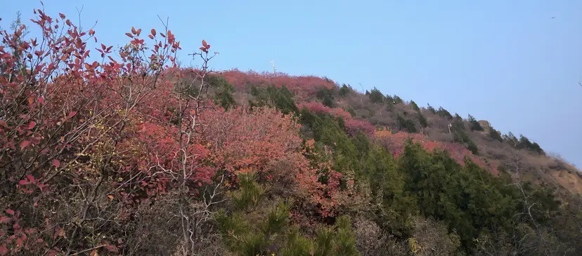 西山森林公园旅行图片 2