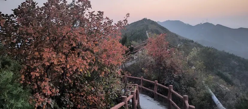 西山森林公园旅行图片 3