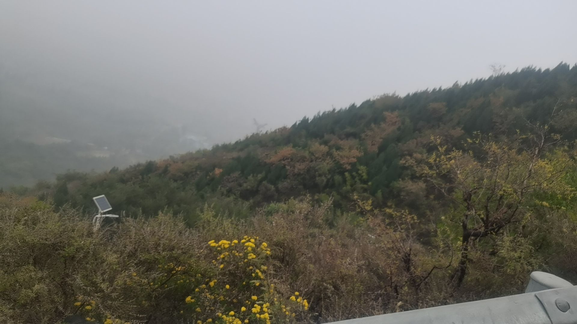 西山森林公园旅行图片 1