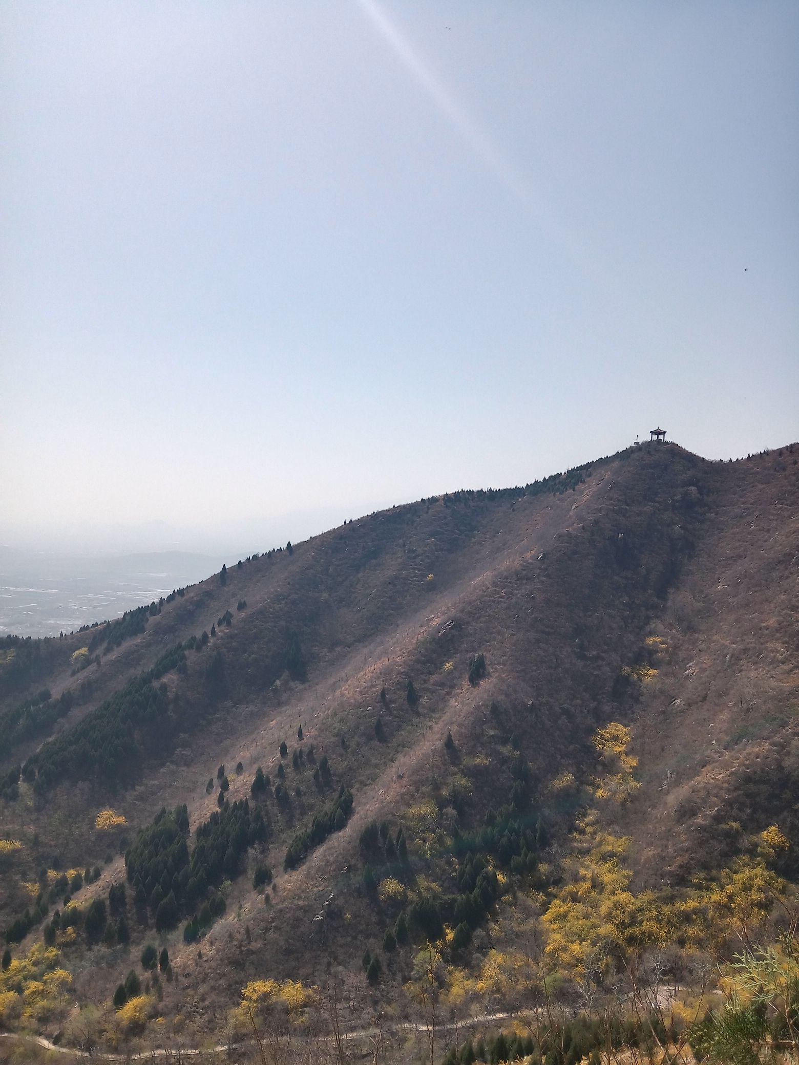 西山森林公园旅行图片 3