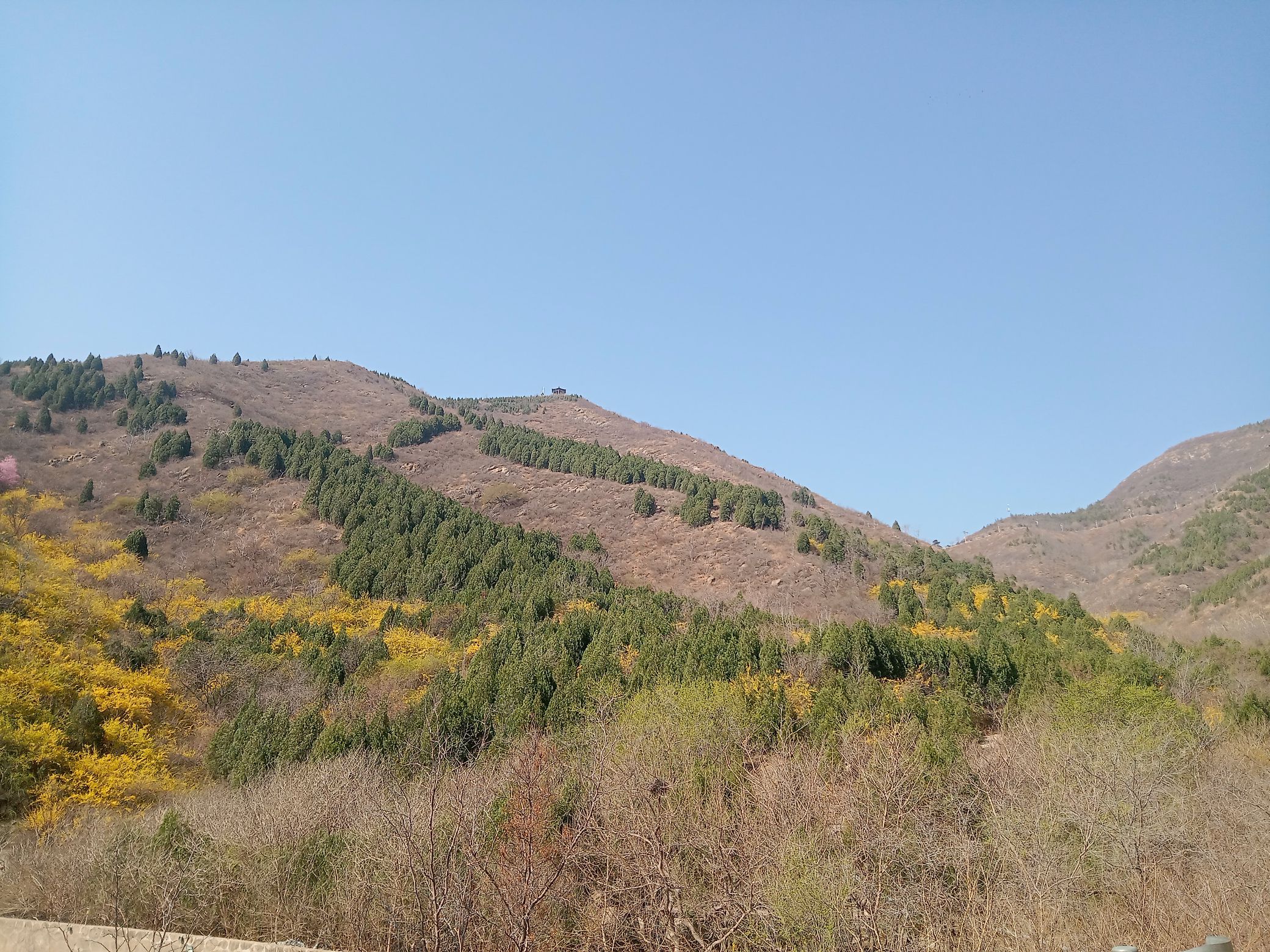 西山森林公园旅行图片 1