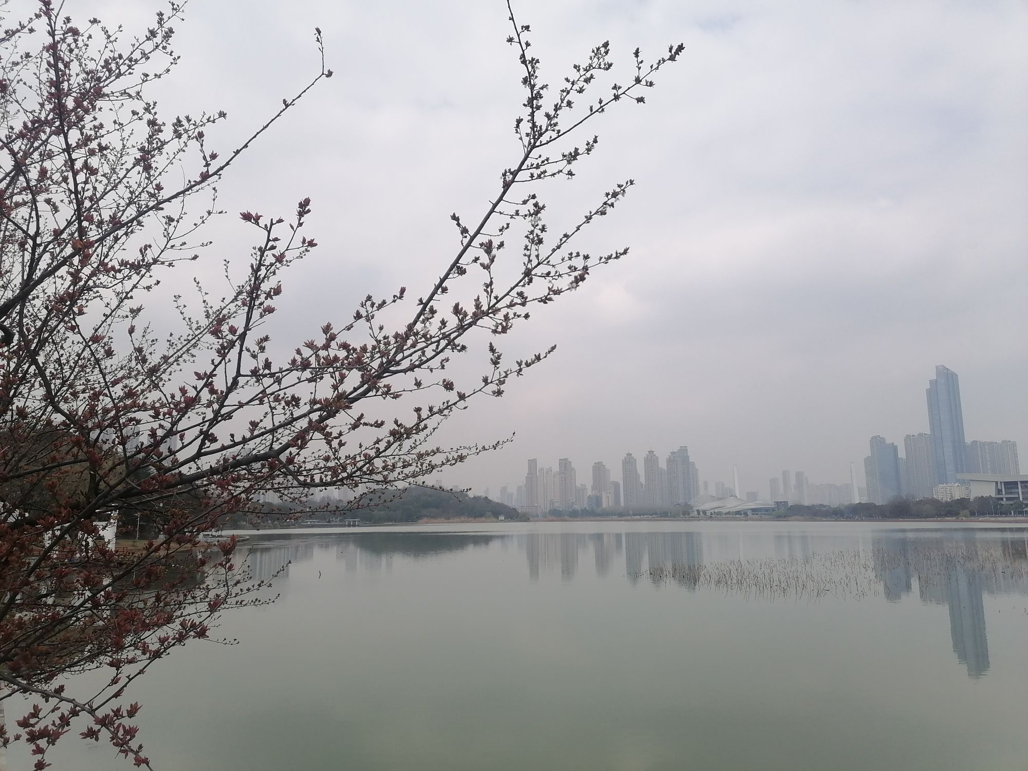 月湖风景区旅行图片 3