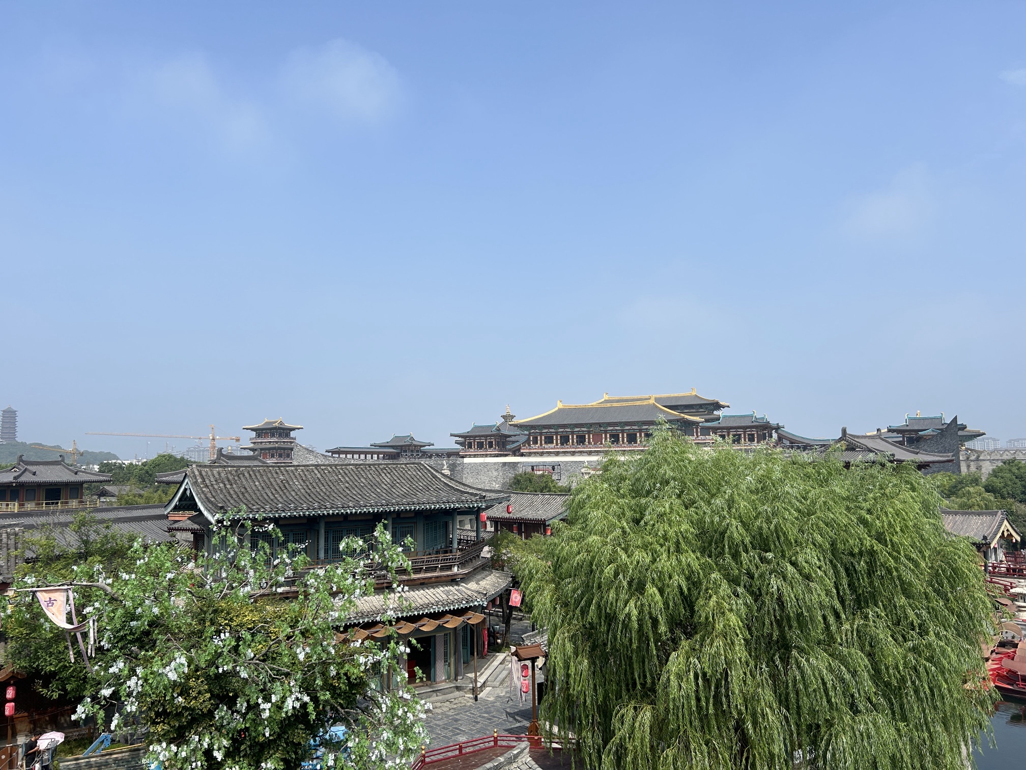 月湖风景区旅行图片 3