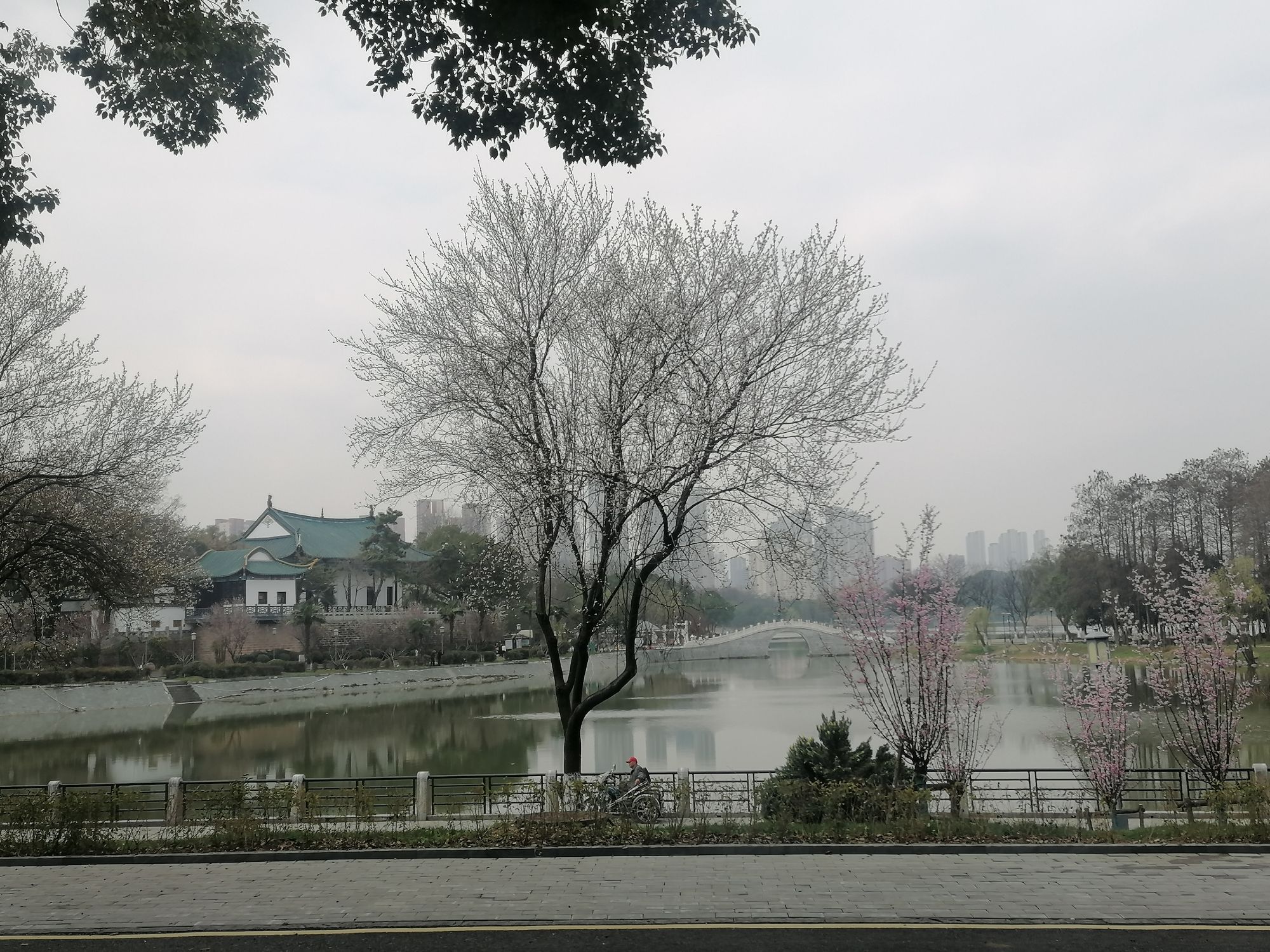 月湖风景区旅行图片 1