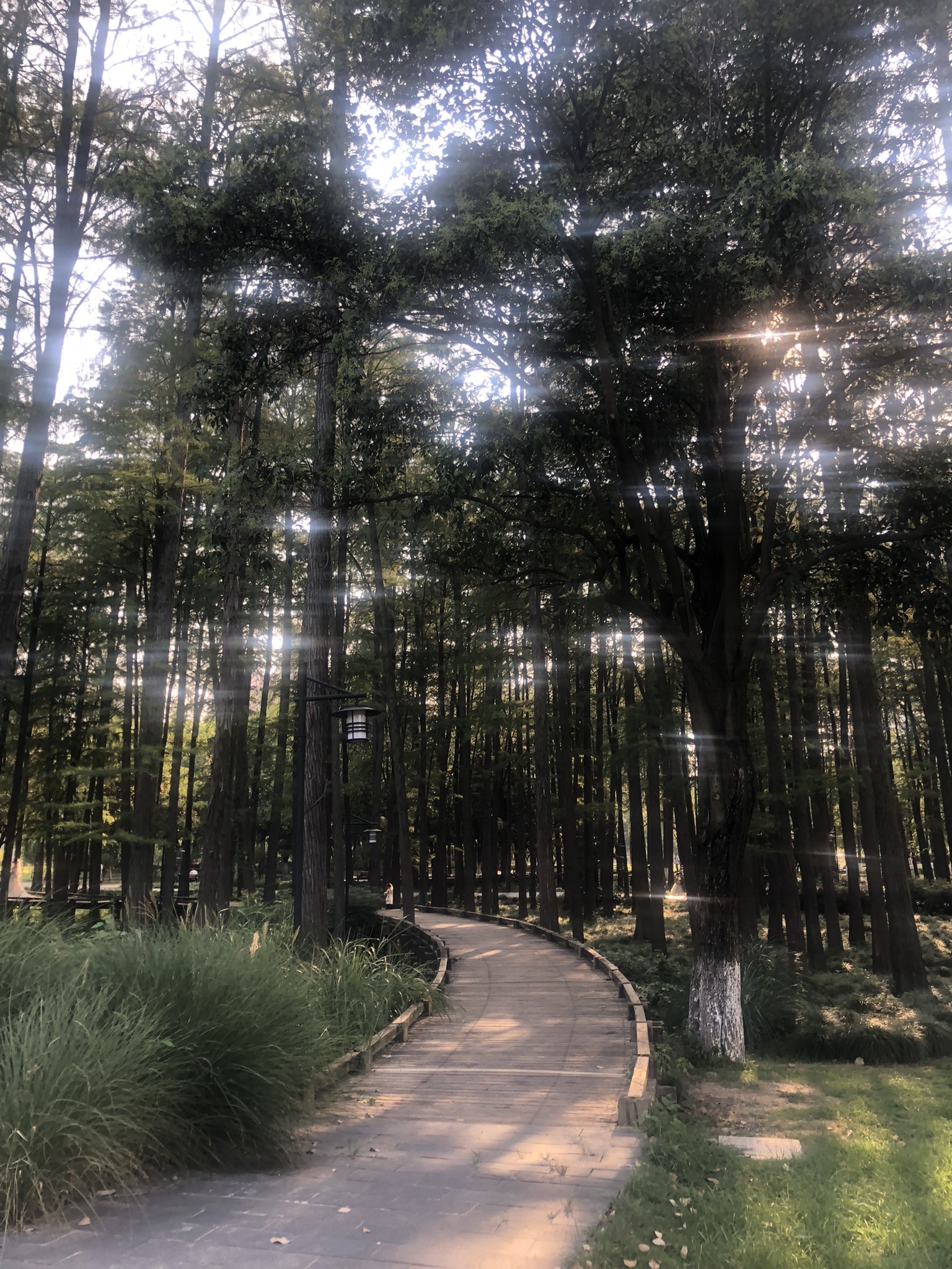 月湖风景区旅行图片 1