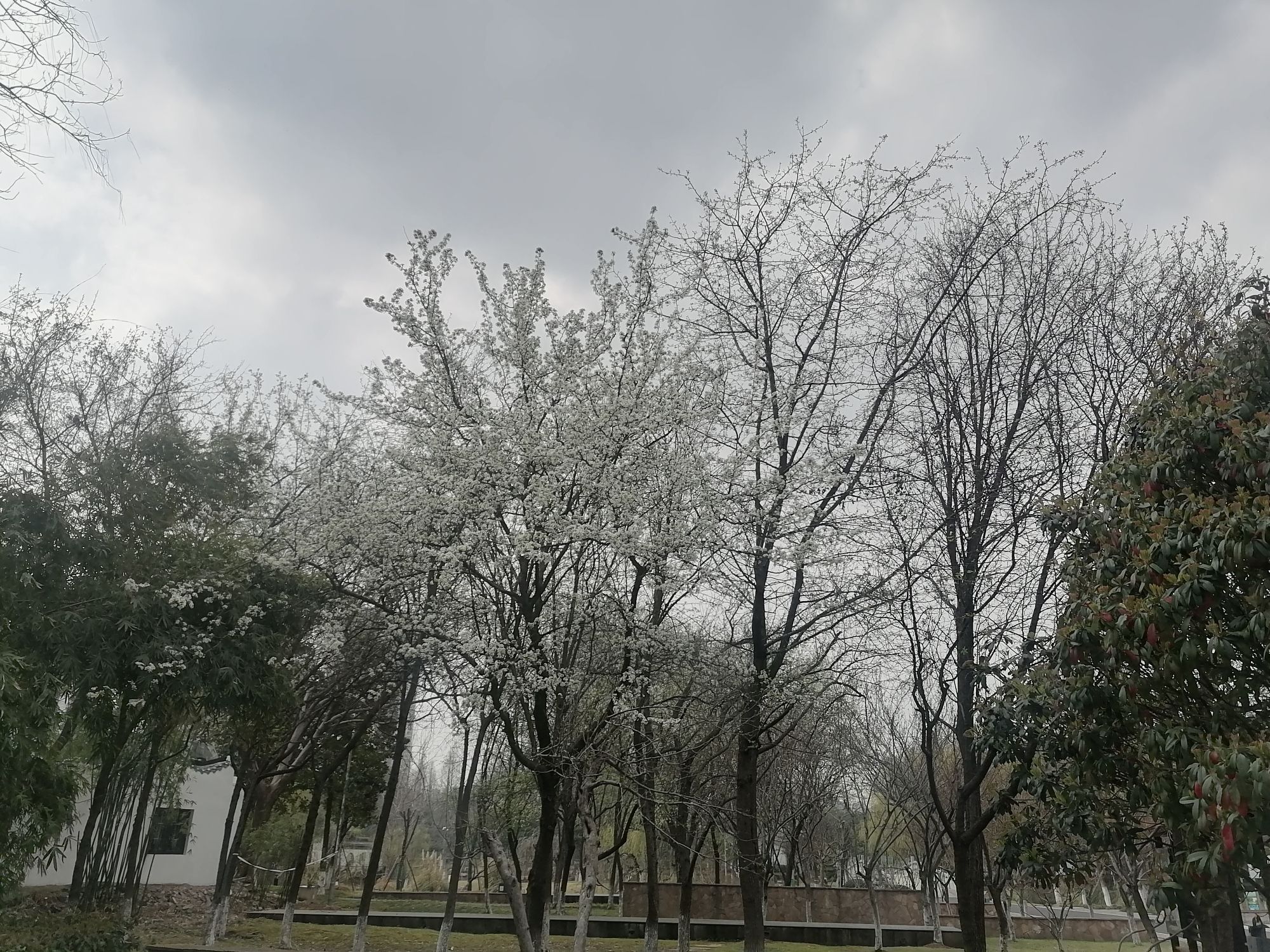 月湖风景区旅行图片 2