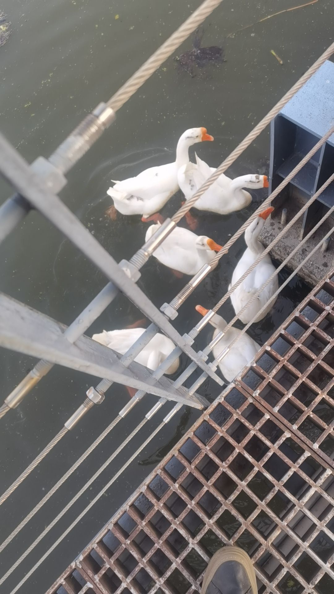 月湖风景区旅行图片 1