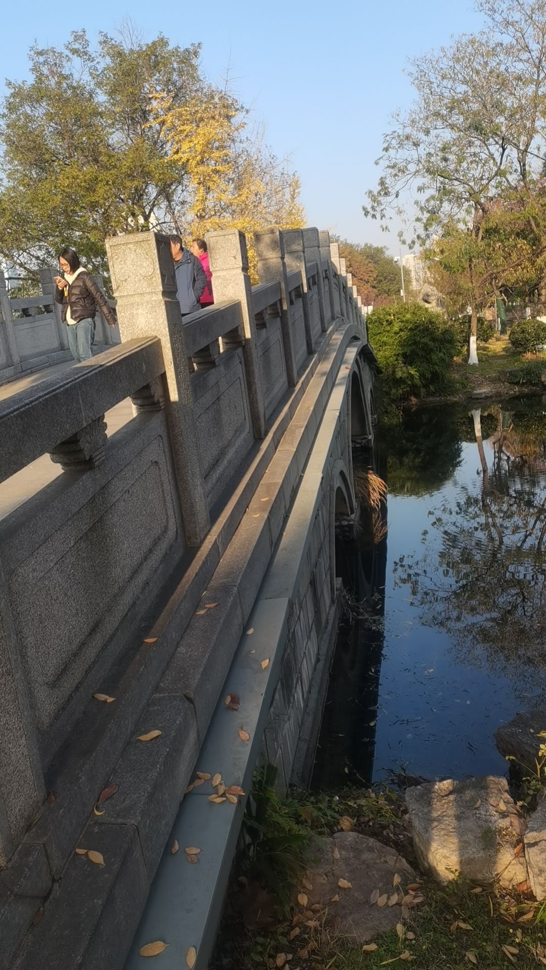 月湖风景区旅行图片 3