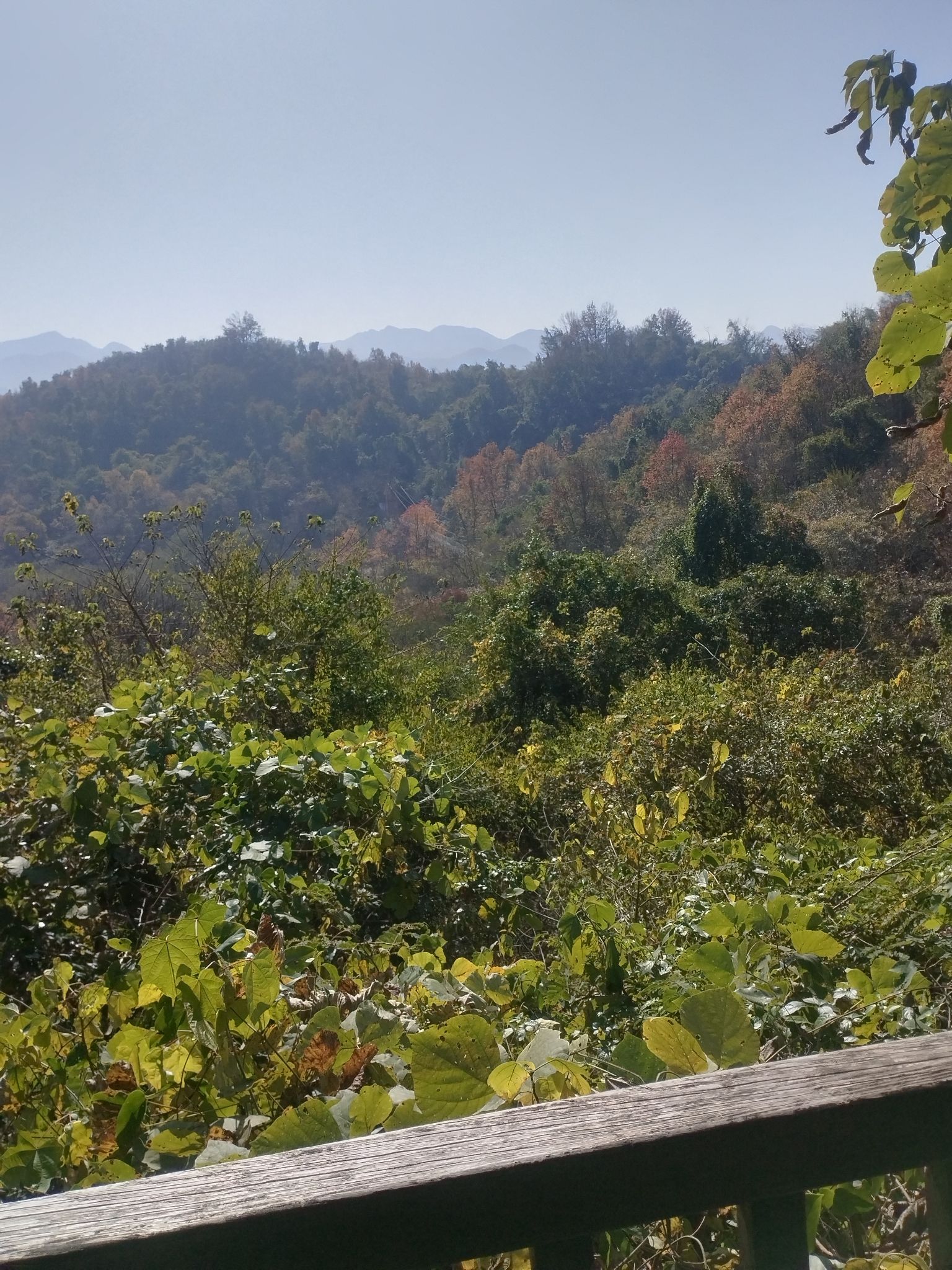 清源山风景区旅行图片 2