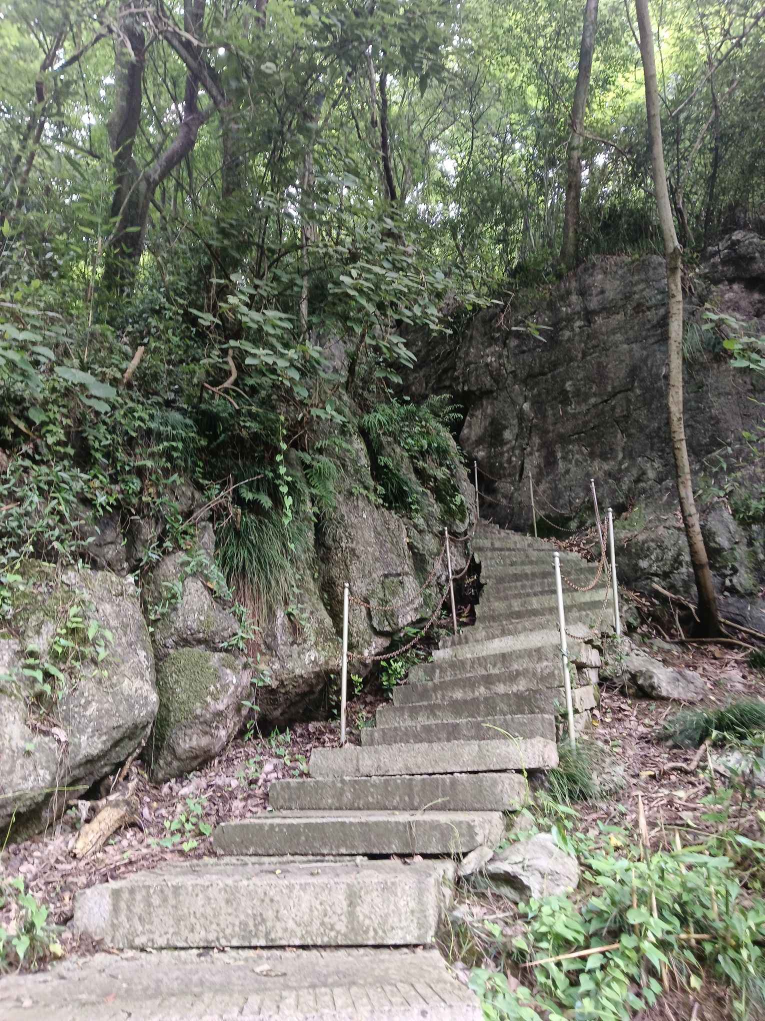 清源山风景区旅行图片 3