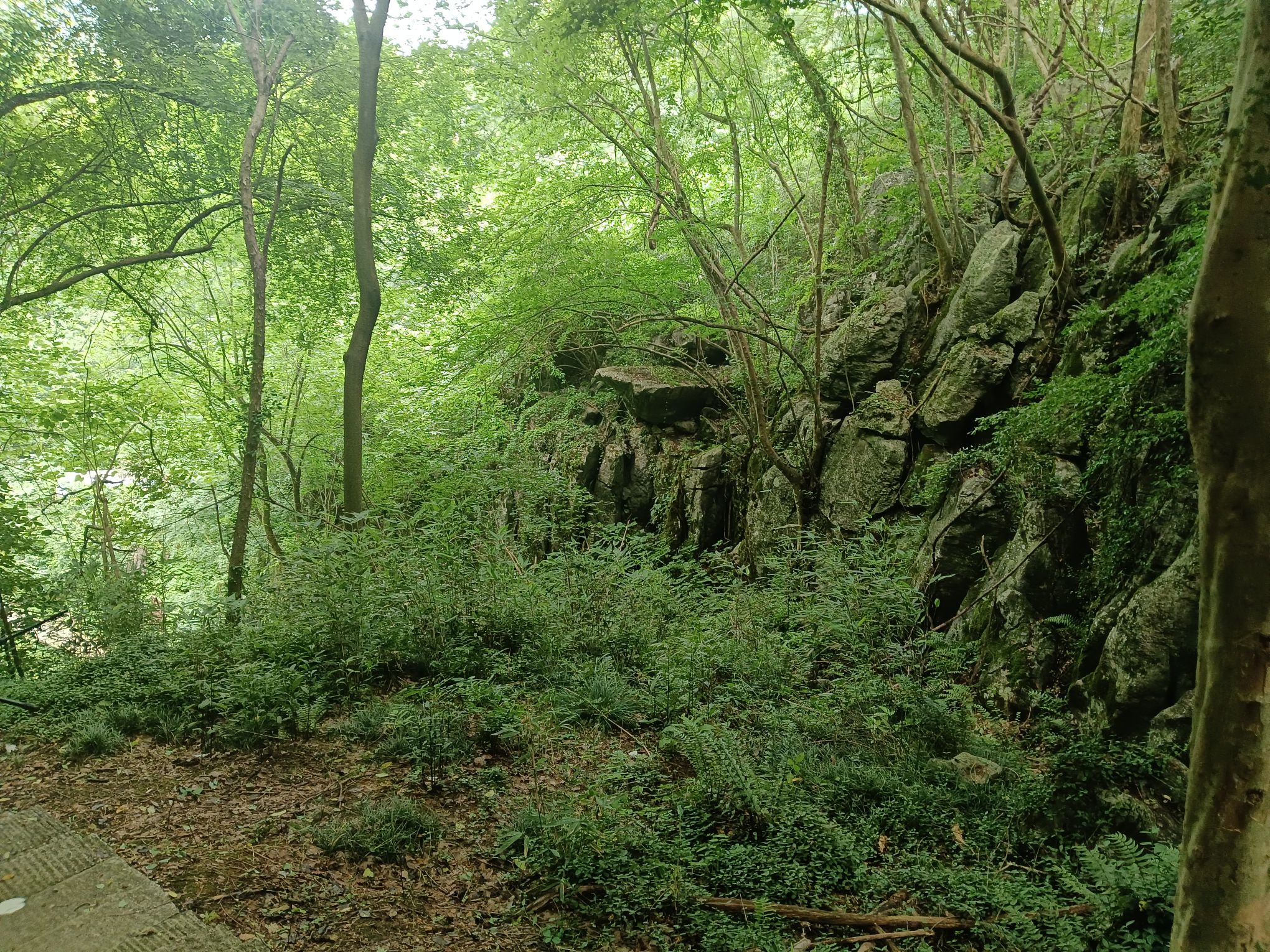 清源山风景区旅行图片 2