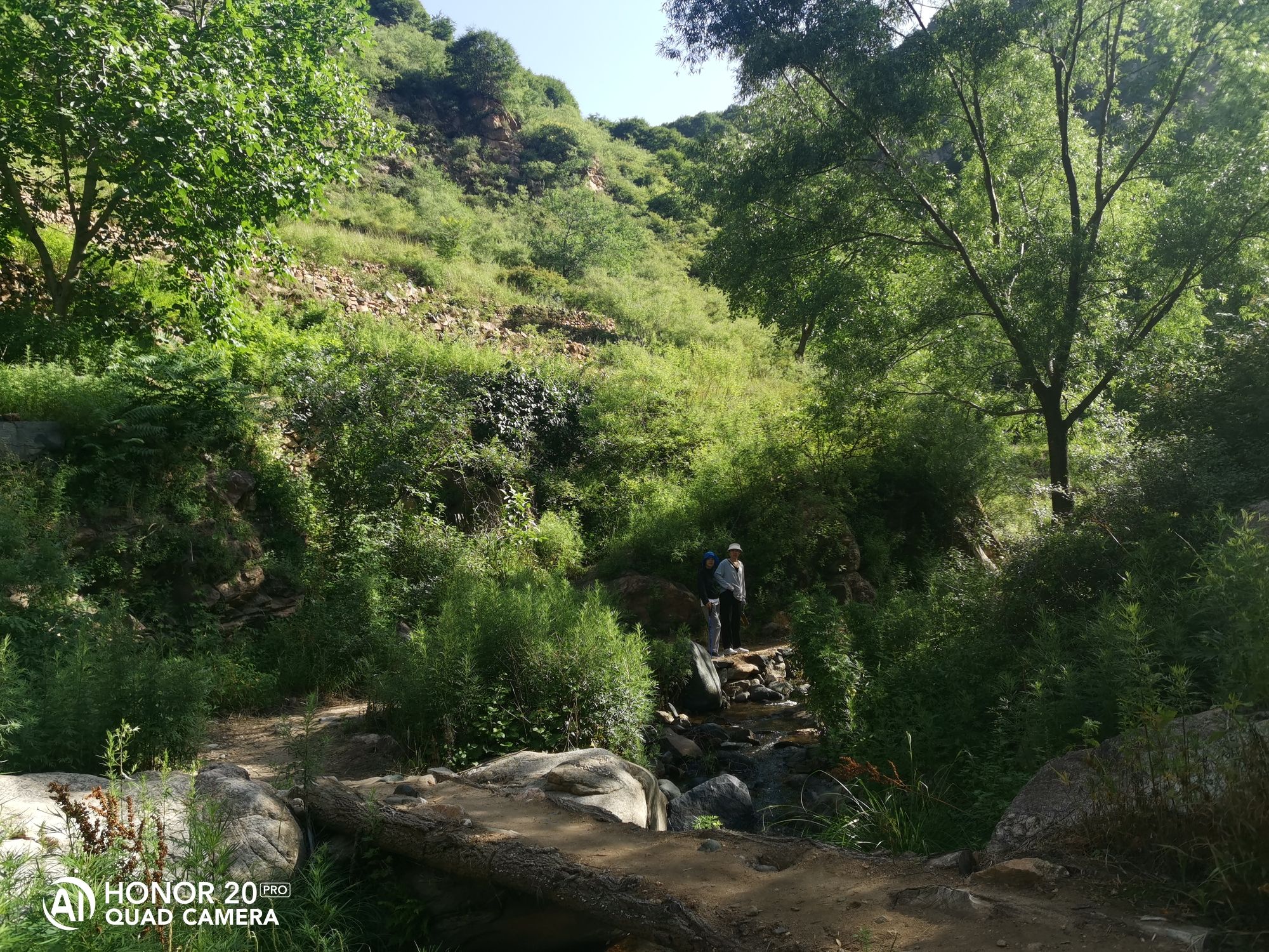猪圈沟生态风景区旅行图片 2