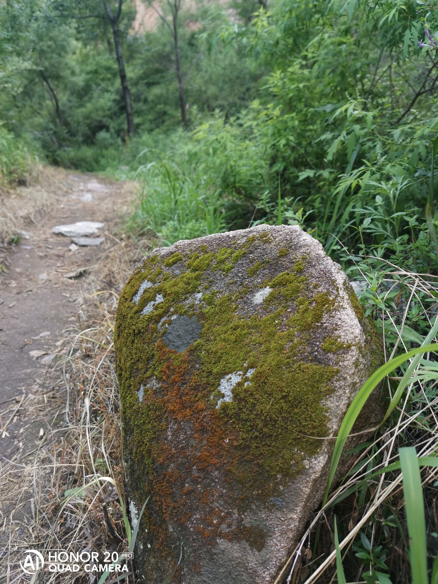 猪圈沟生态风景区旅行图片 3
