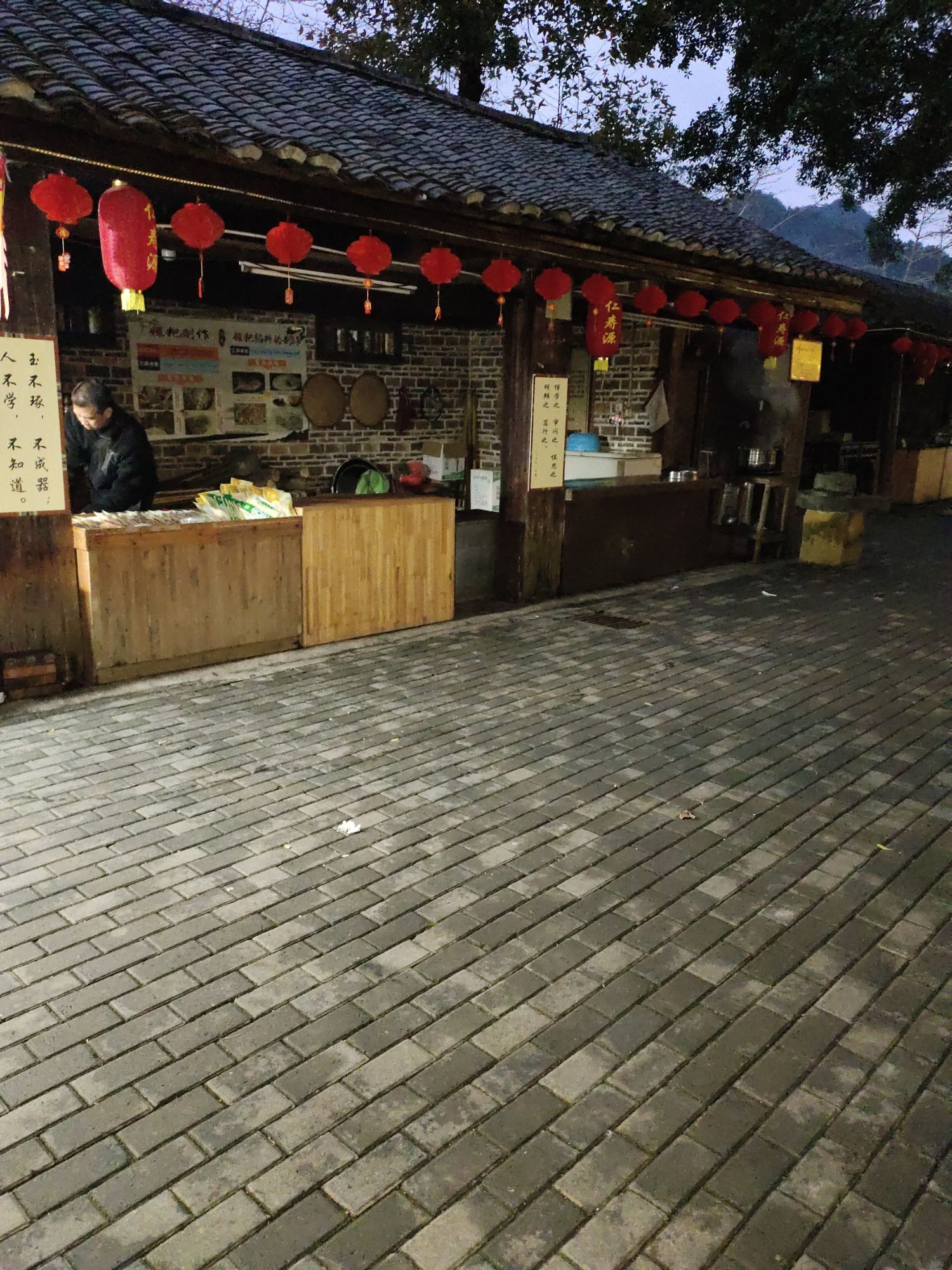 巴马仁寿源景区旅行图片 2