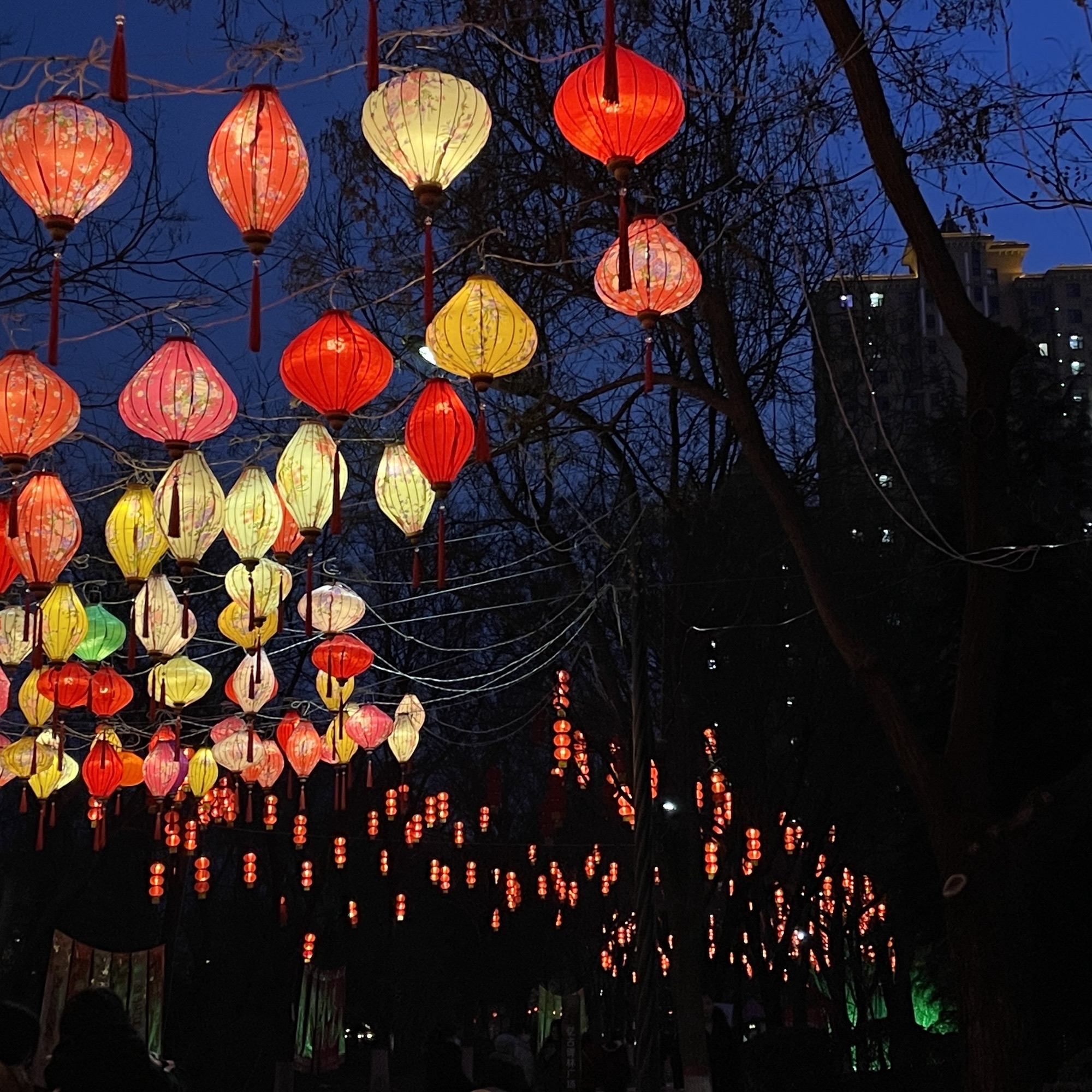 润泽湖公园旅行图片 3