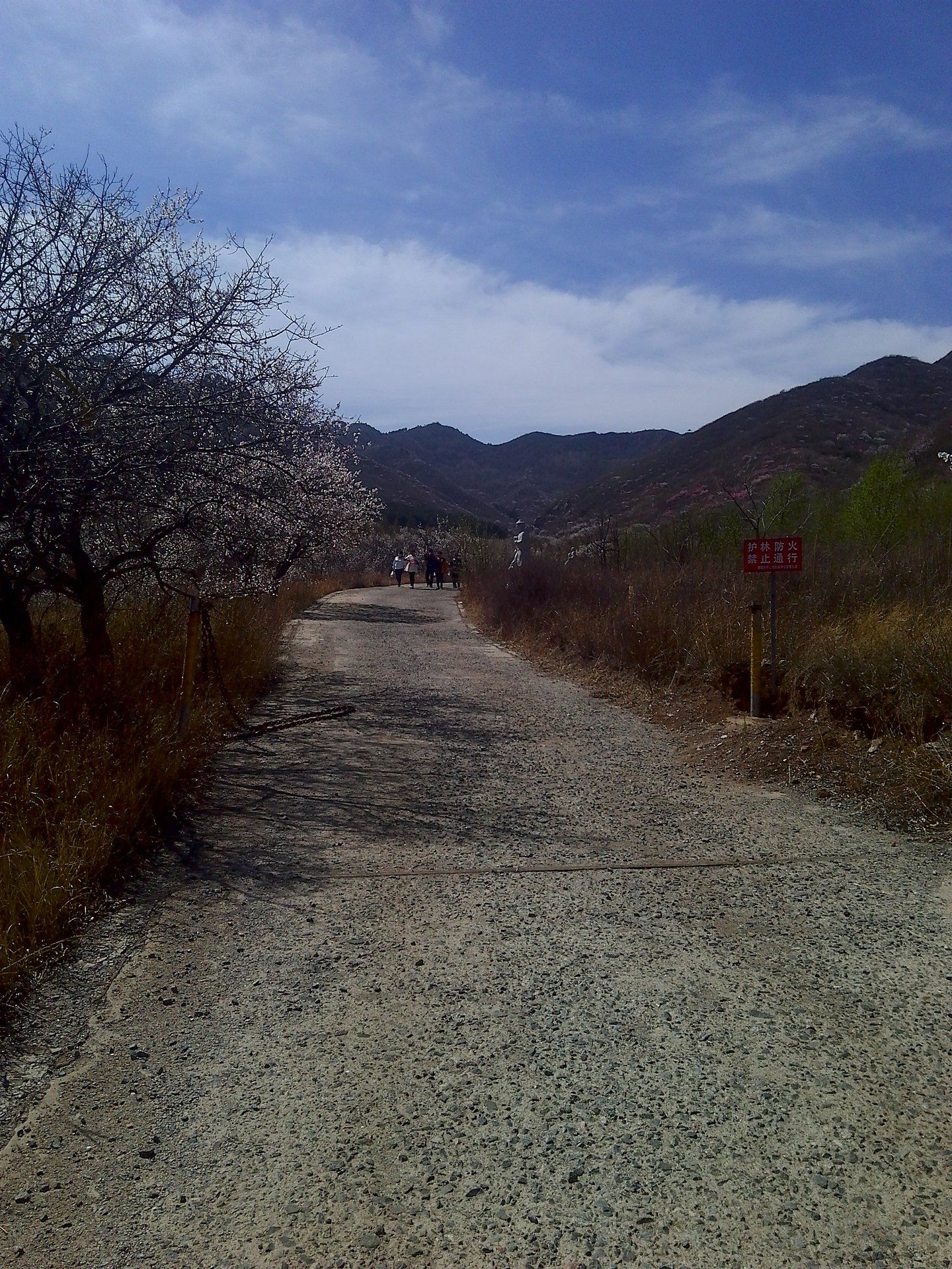 建平天秀山森林公园旅行图片 3