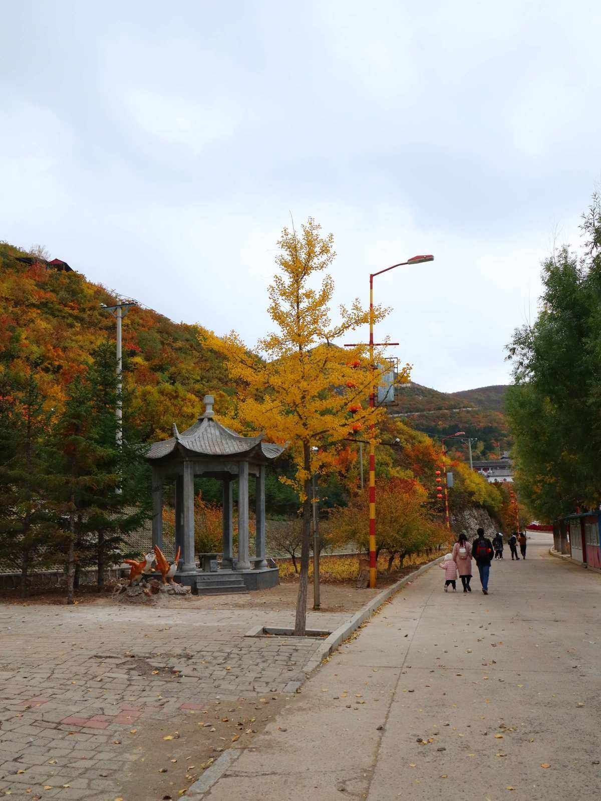 建平天秀山森林公园旅行图片 3