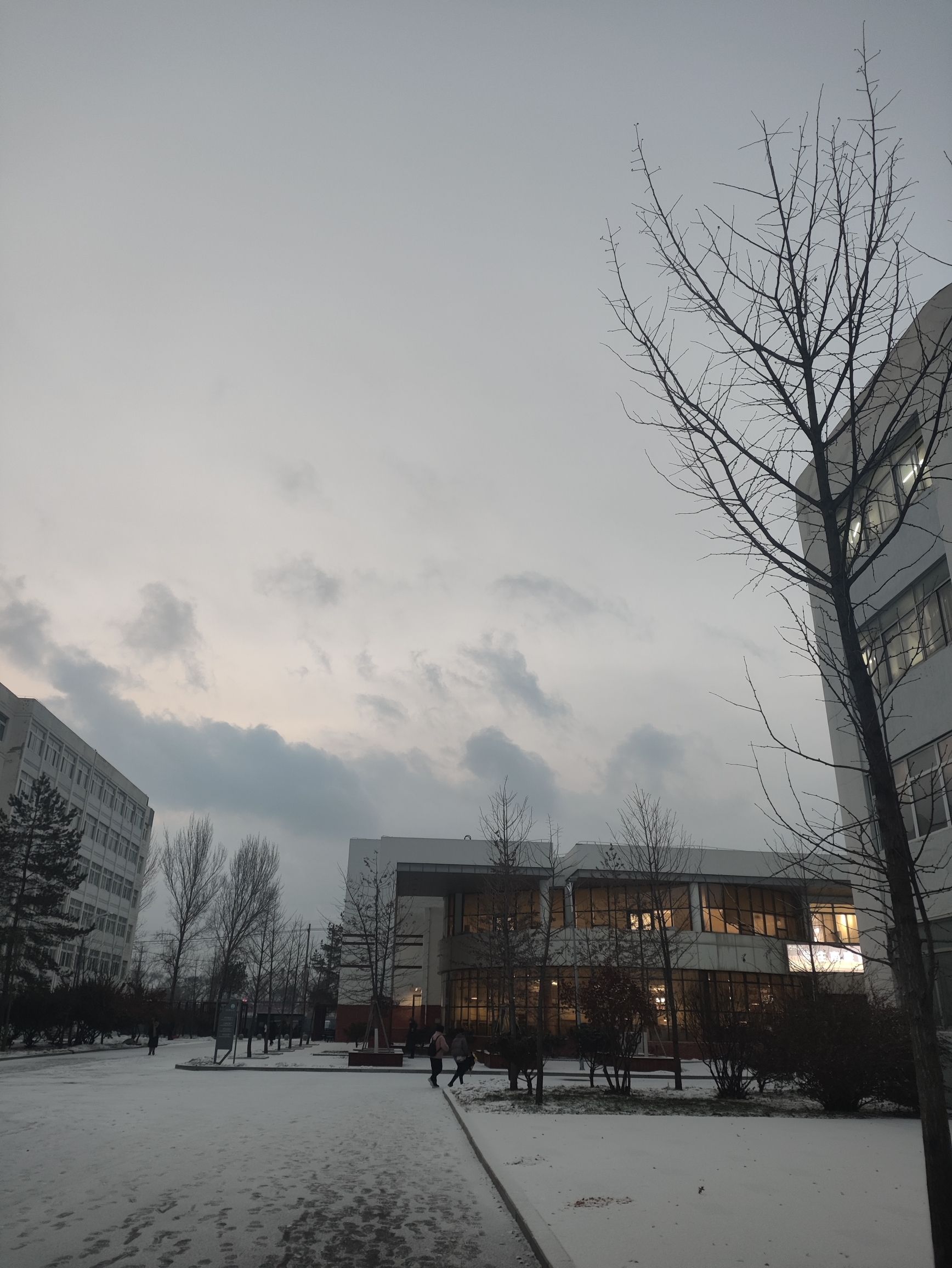 沈阳农业大学经济管理学院
