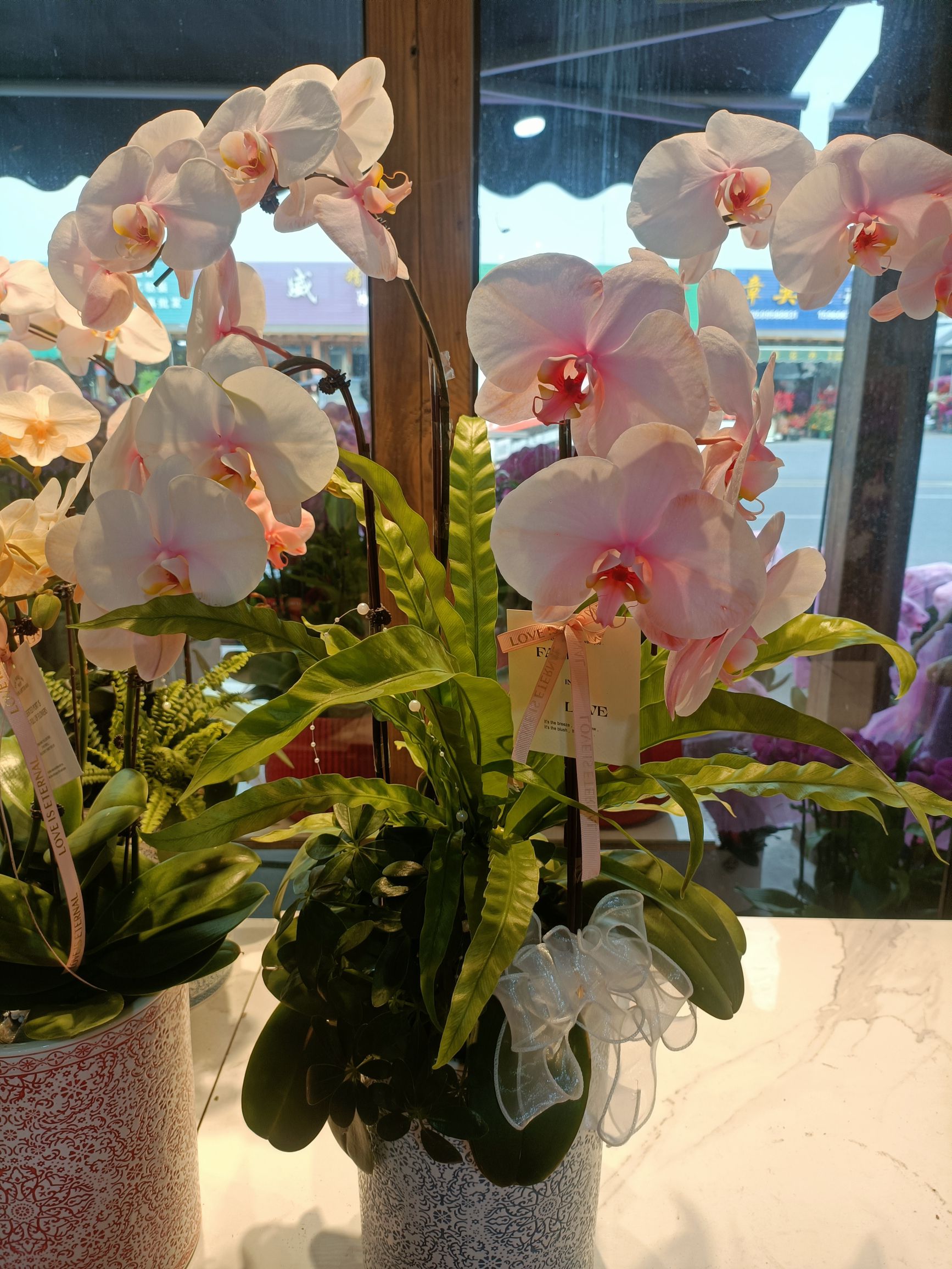 百花村花卉交易市场