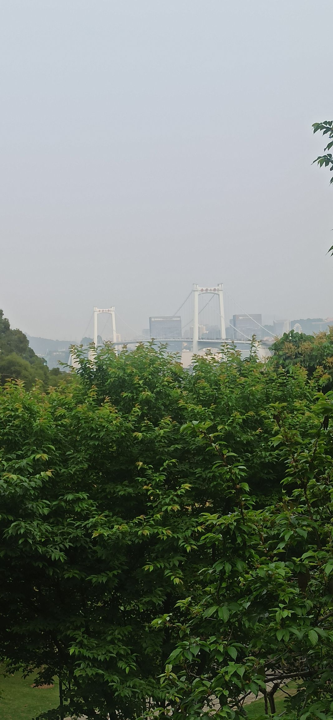 大屏山郊野公园旅行图片 3