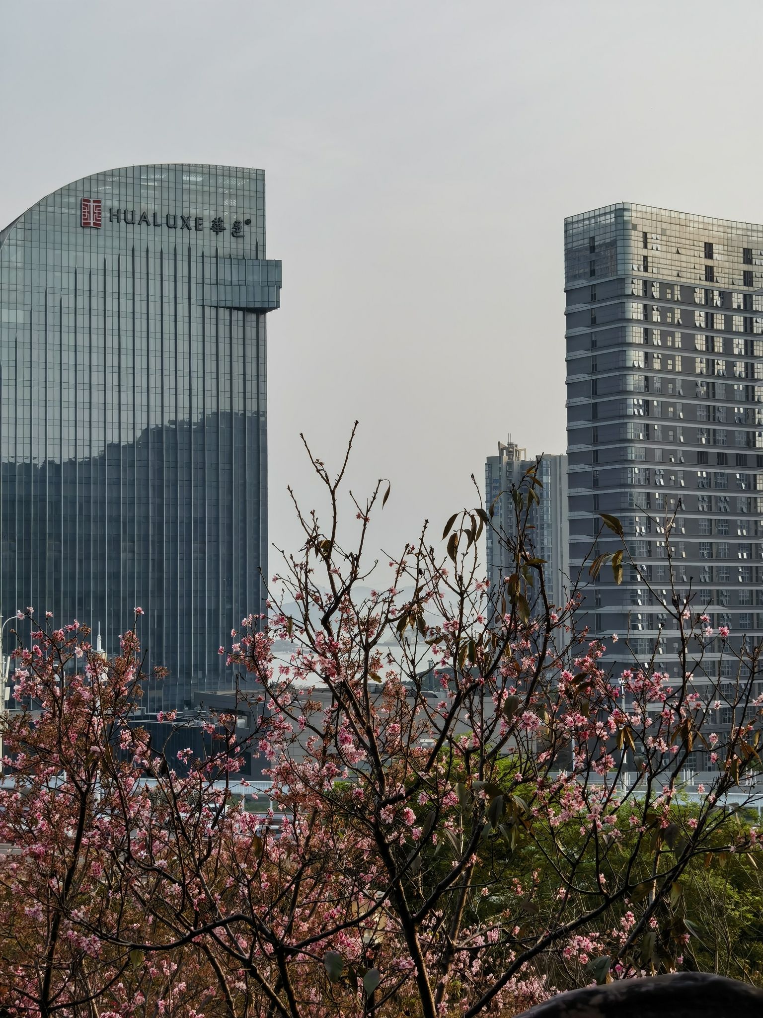 大屏山郊野公园旅行图片 3