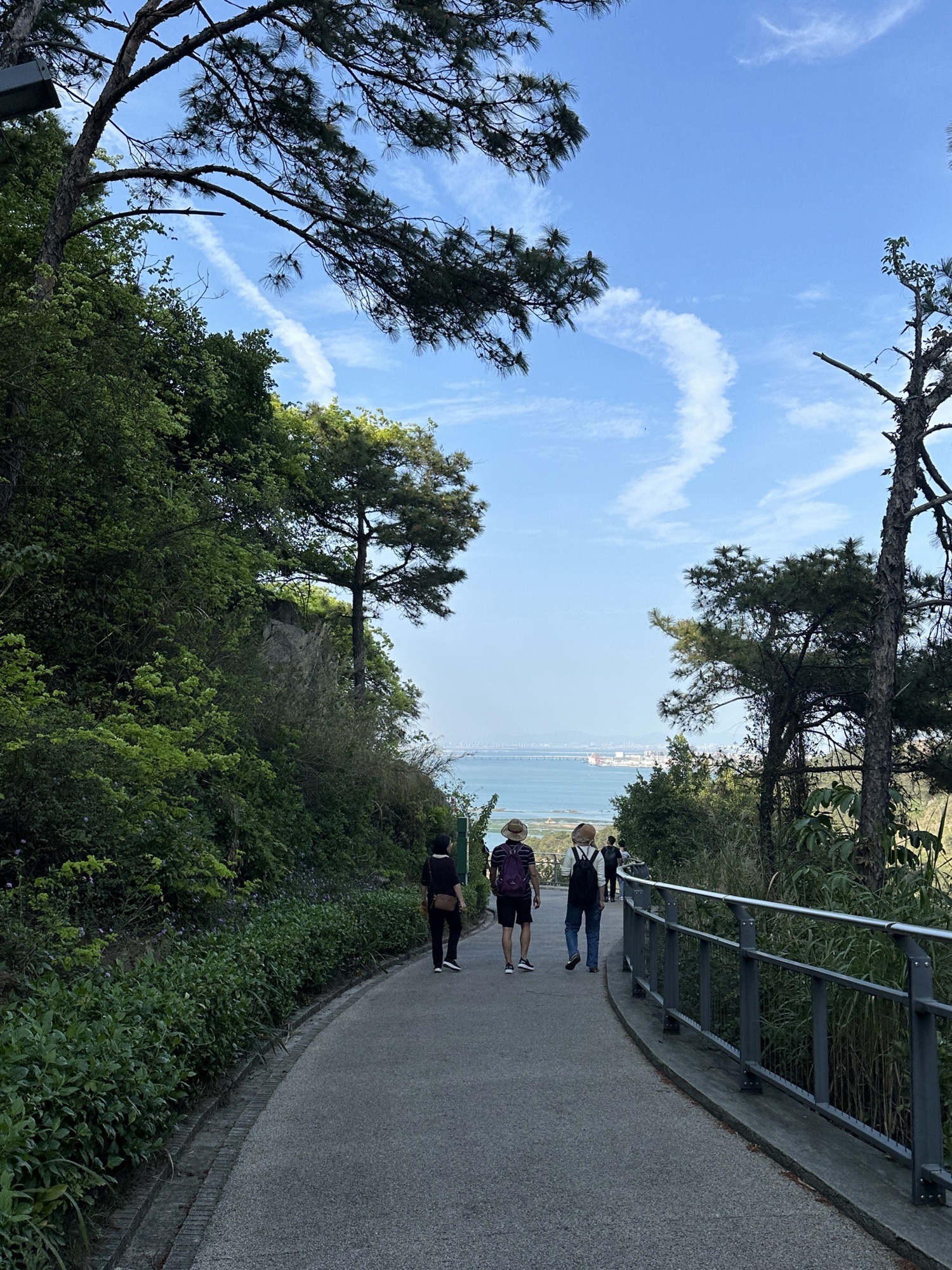 大屏山郊野公园旅行图片 1