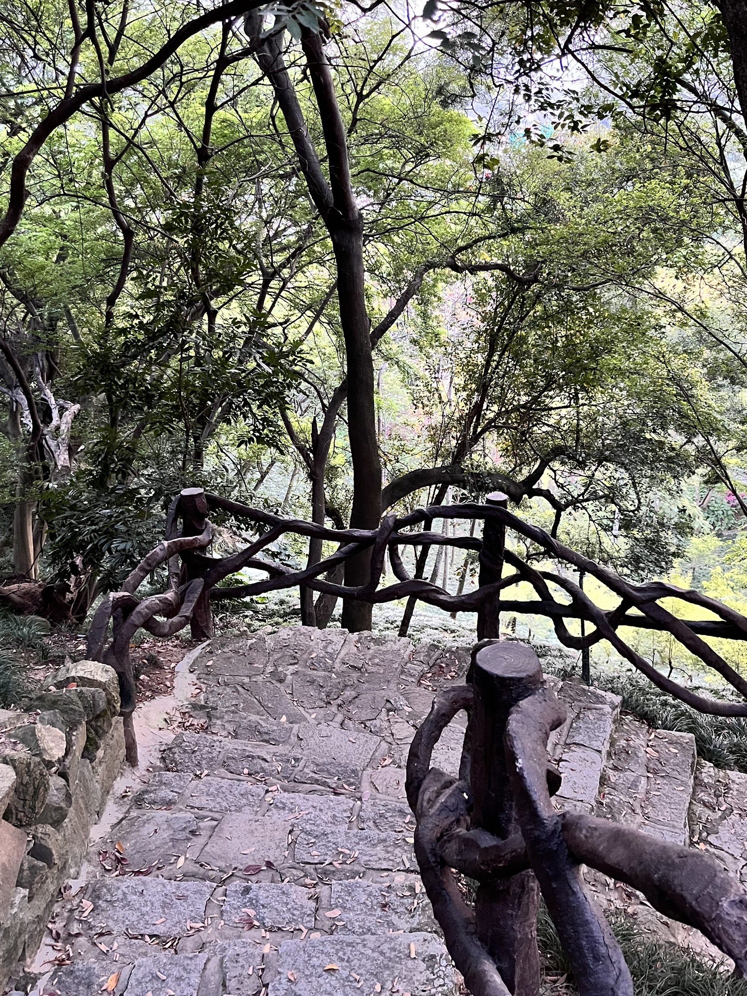大屏山郊野公园旅行图片 2